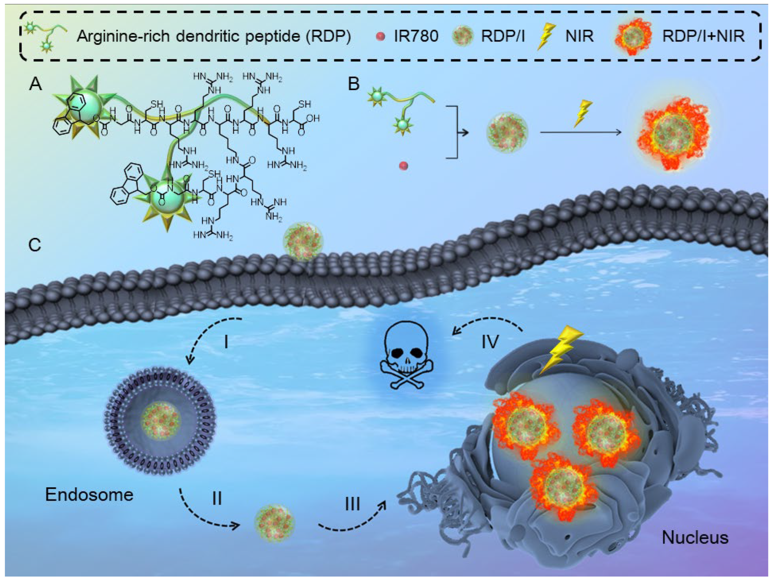 Polymers | Free Full-Text | Nucleus-Targeting Nanoplatform Based 