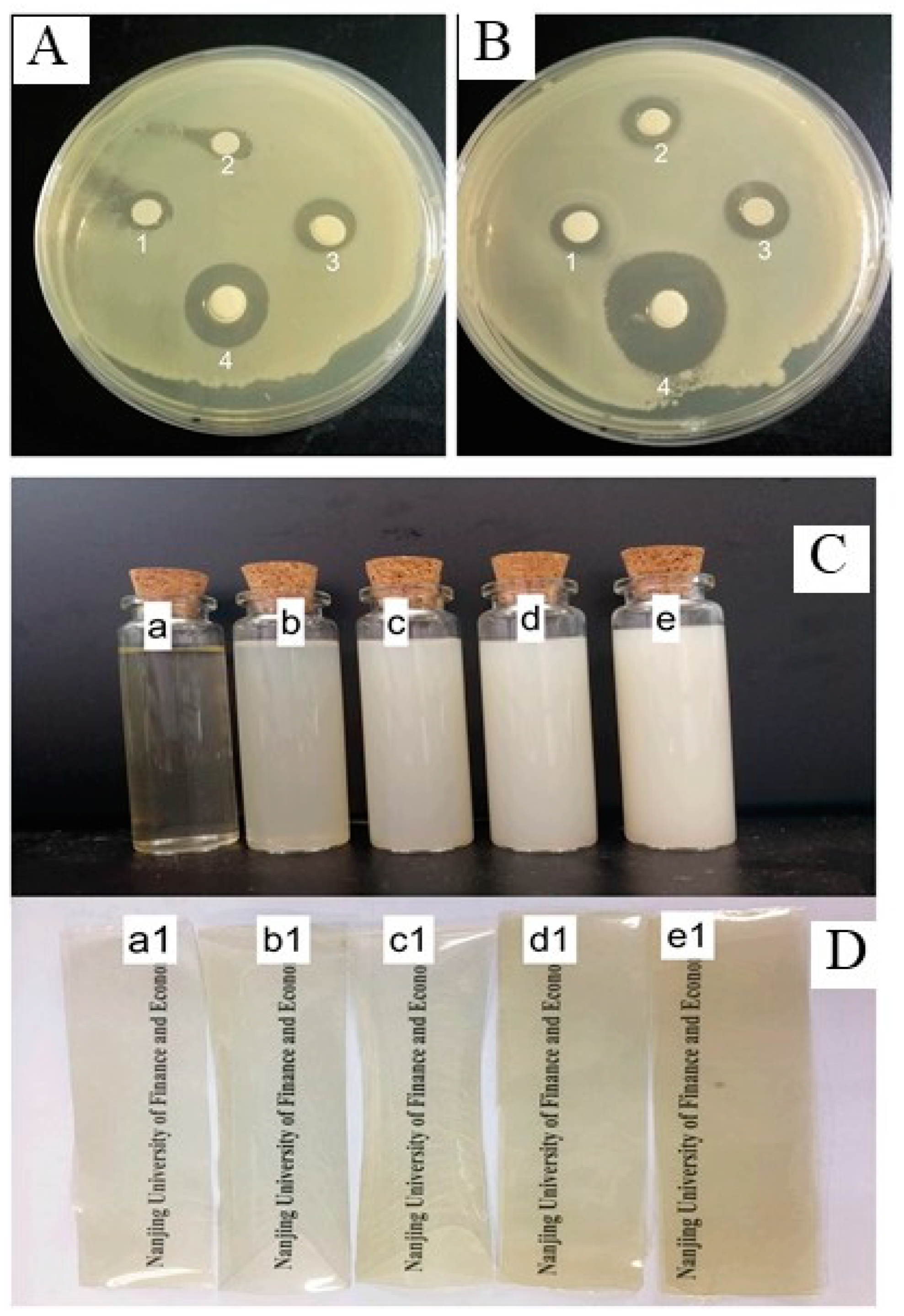Food Grade Antibacterial and Mildew Proof Thick Solid PE Plastic
