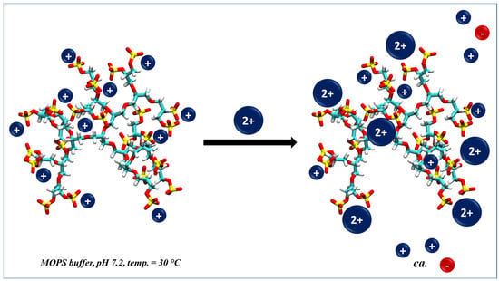 Polymers | Free Full-Text | Adsorption of Mono- and Divalent Ions onto ...