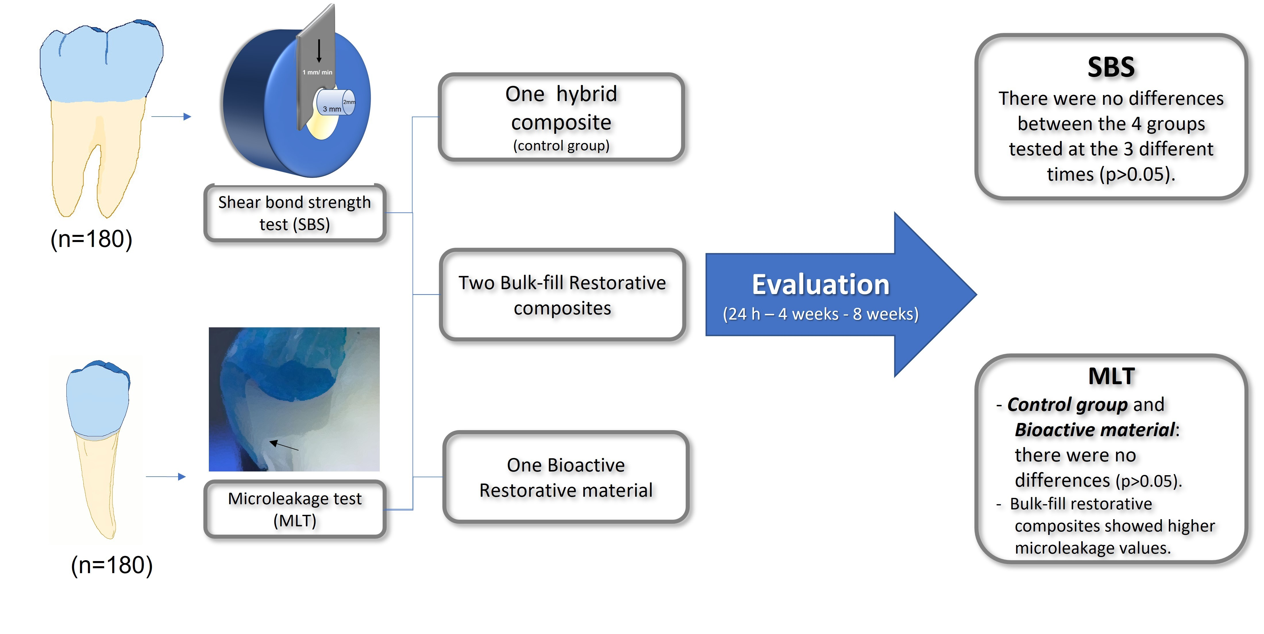 PDF) Biocompatibility of new bioactive resin composite versus
