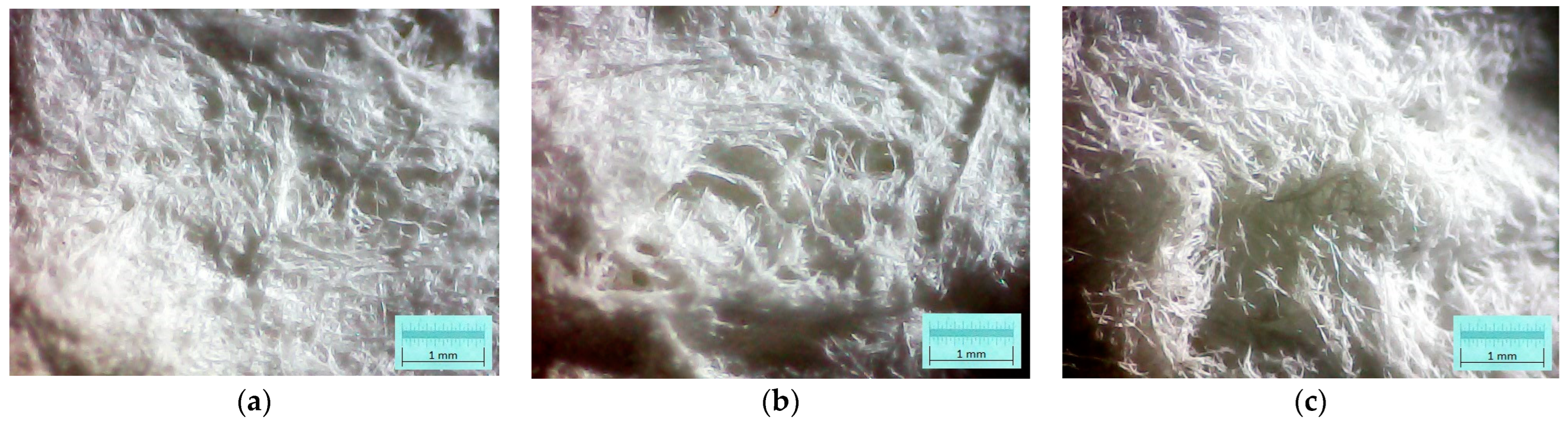 Multiscale modeling of lignocellulosic foams under compression