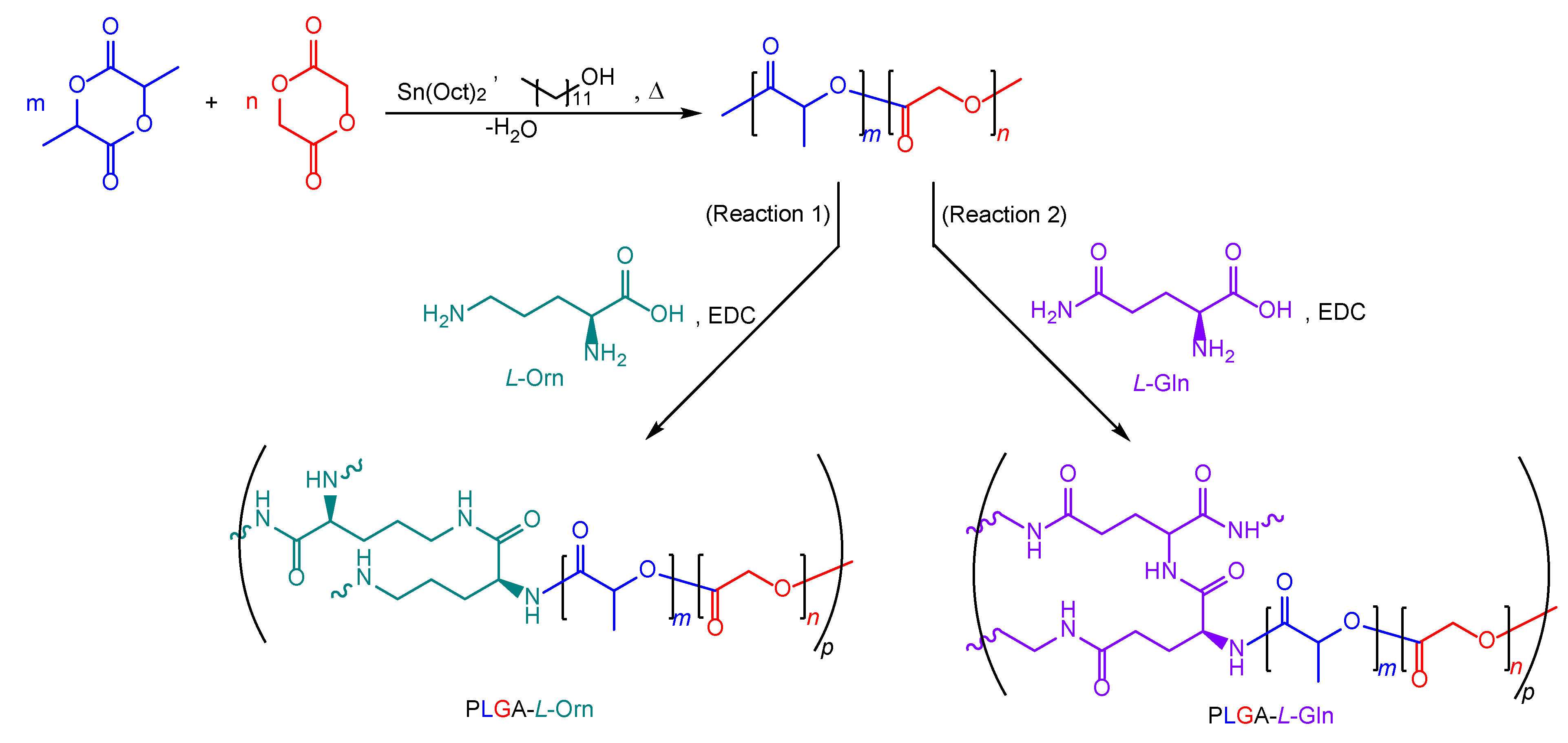 Chemical Synthesis Routes of L-Ornithine powder Chemical Synthesis Routes of L-Ornithine powder