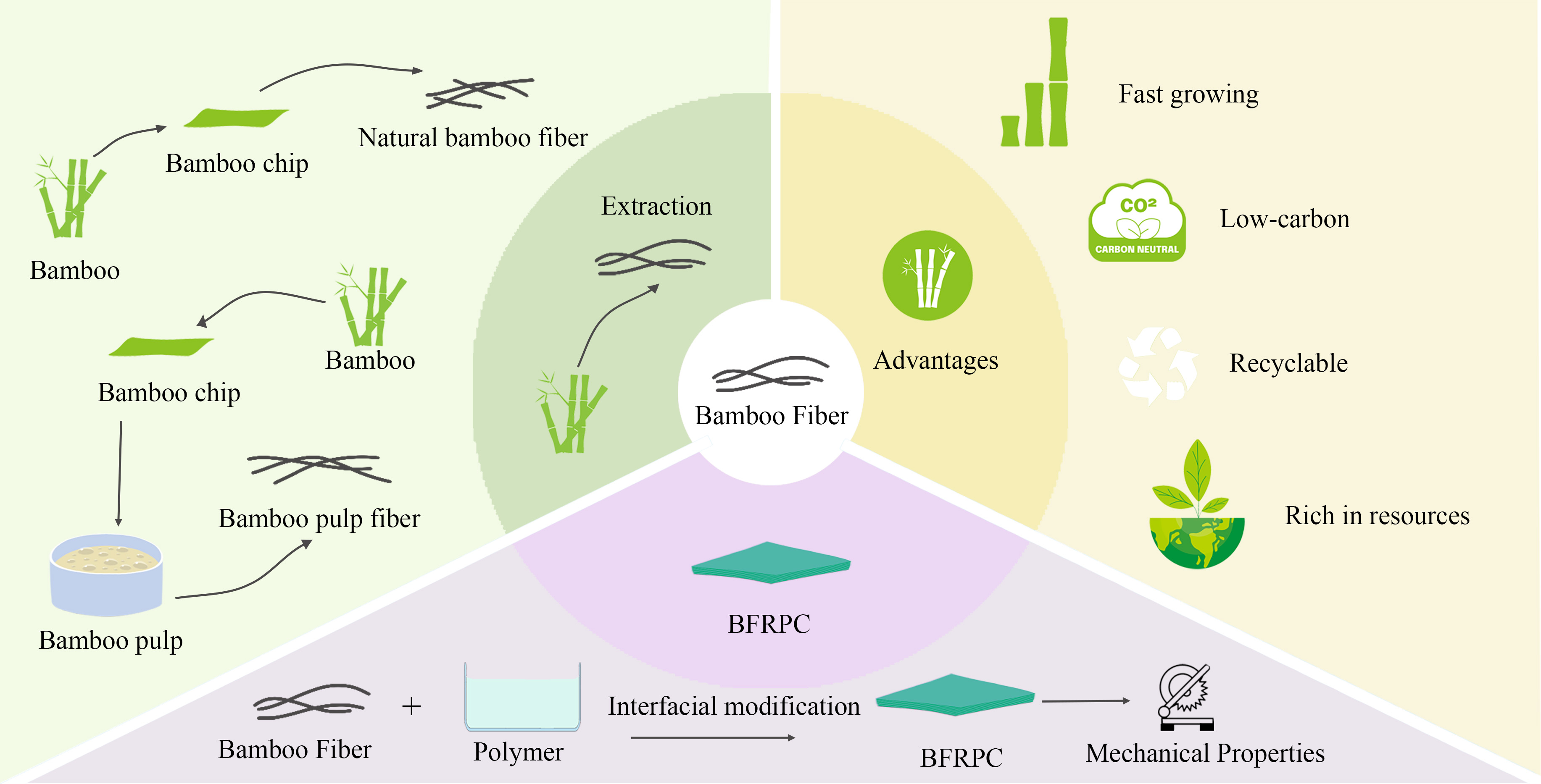 Performance and development challenges of micro–small bamboo