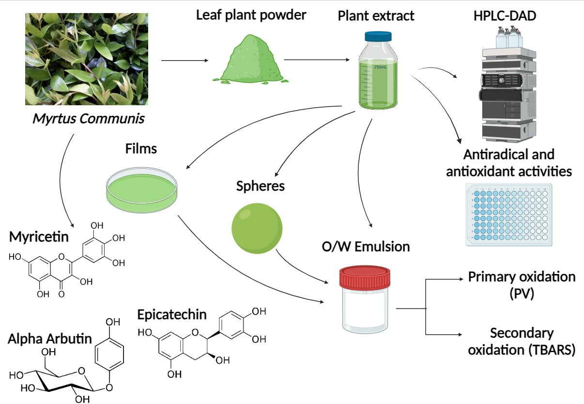 Polymers Free Full Text Evaluating the Incorporation of Myrtus