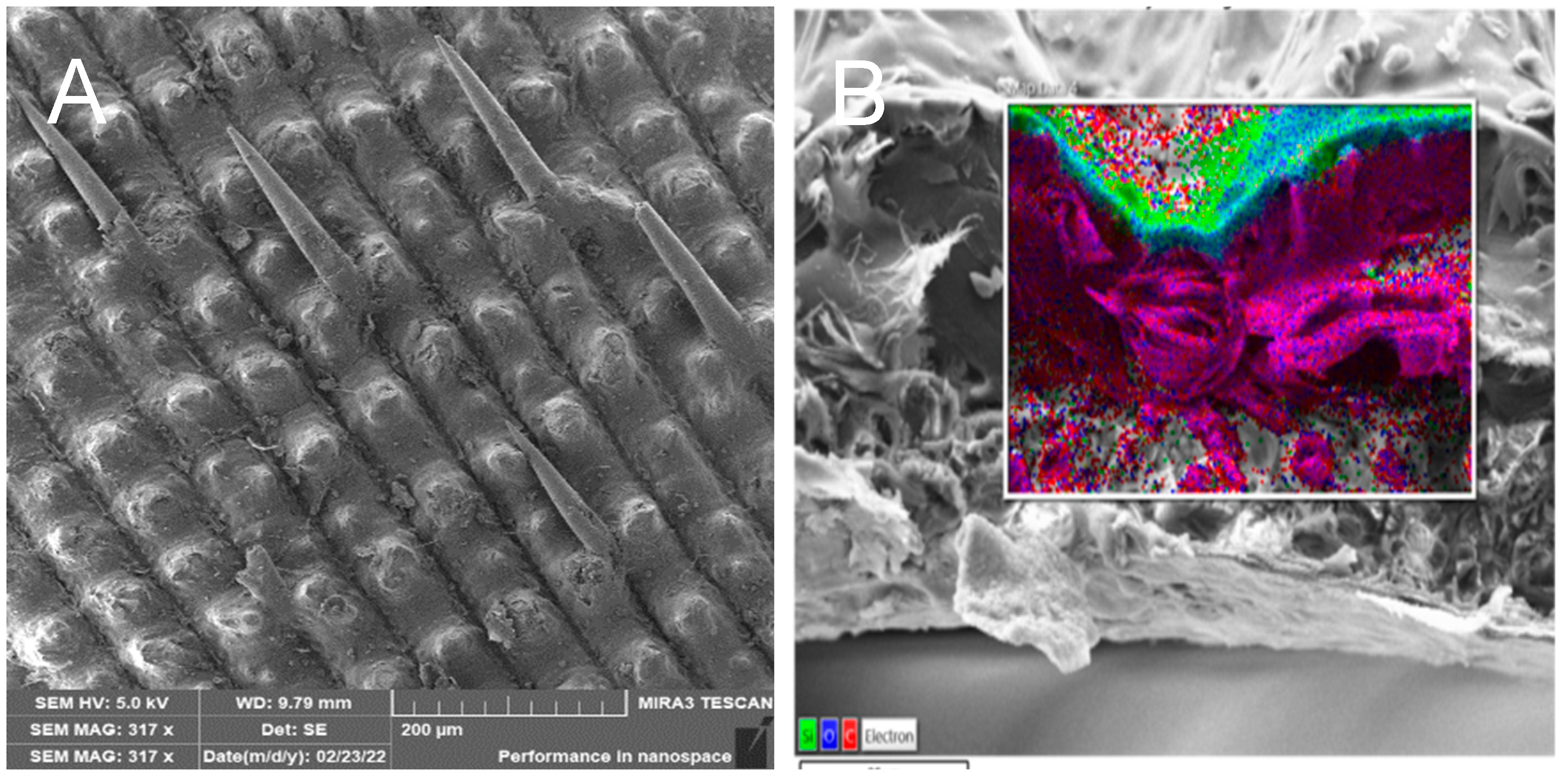 Preparation and Characterization of Submicrometer and Nanometer ...