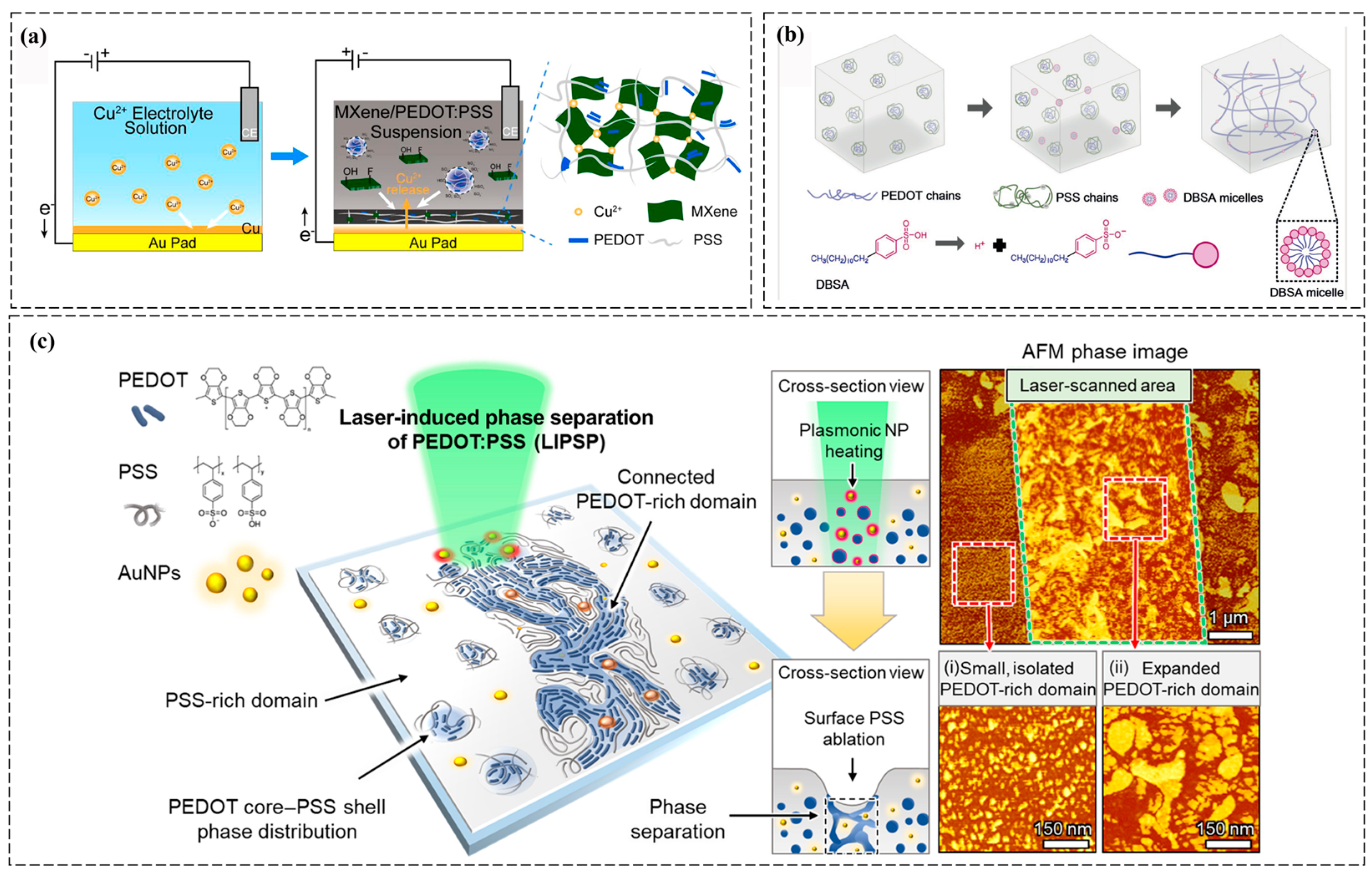 Design Strategies of PEDOT:PSS-Based Conductive Hydrogels