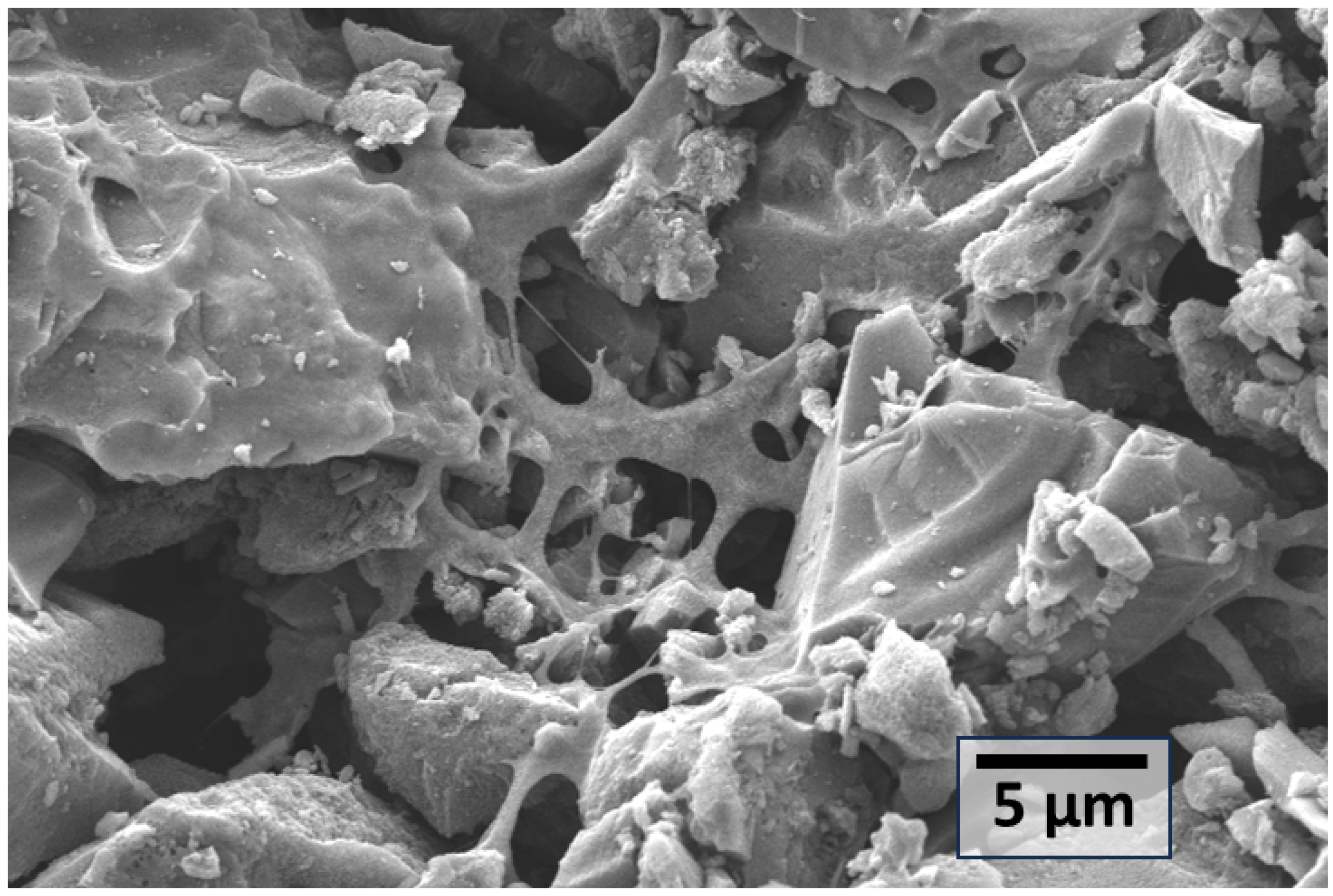 Sustainable Valorization of Plastic Waste and Palm Fronds into ...
