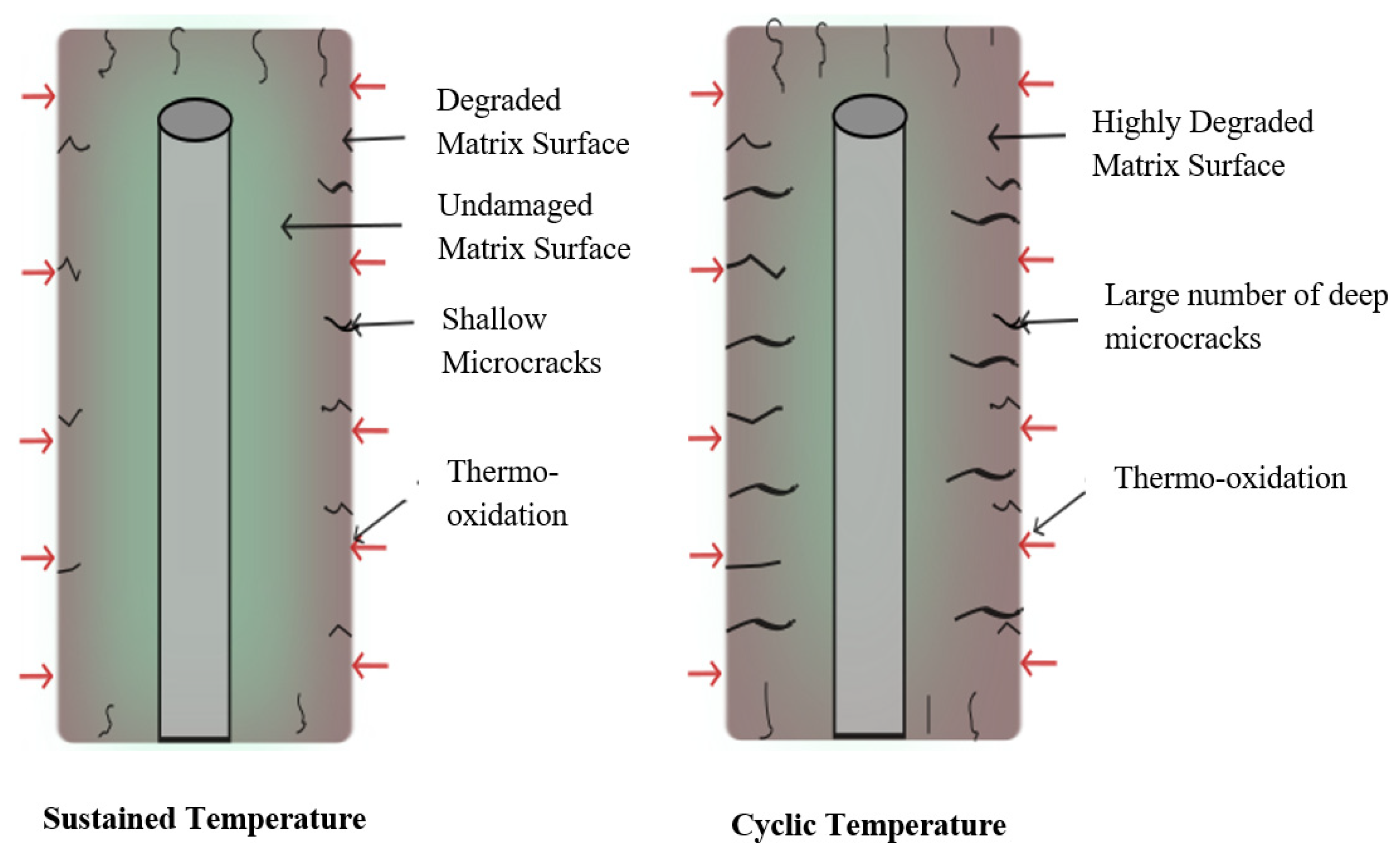 Effect of Elevated Temperature Thermal Aging/Exposure on Shear Response ...