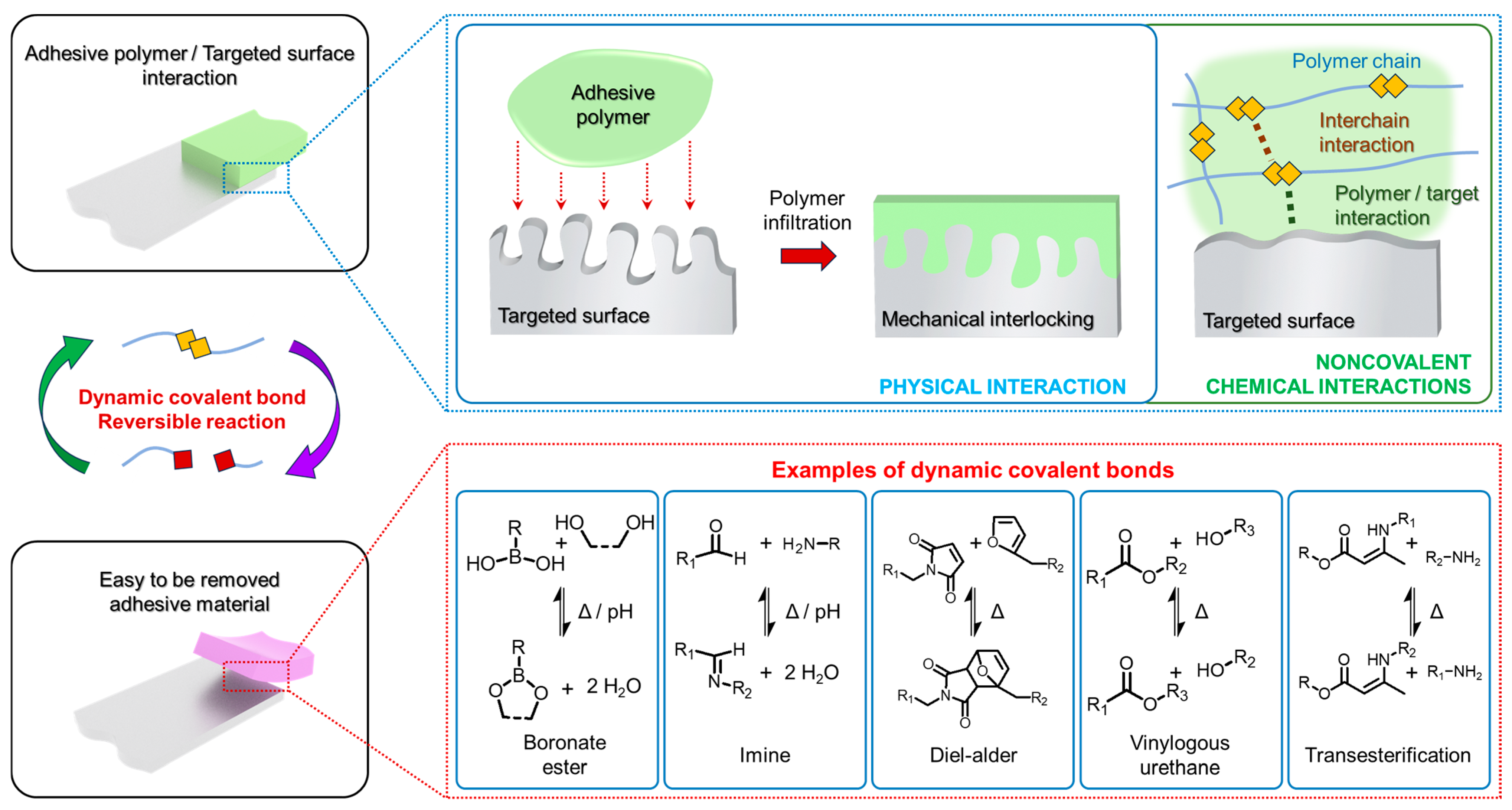 Synergistic Effects of Combined Dynamic Covalent Bonds and Noncovalent ...