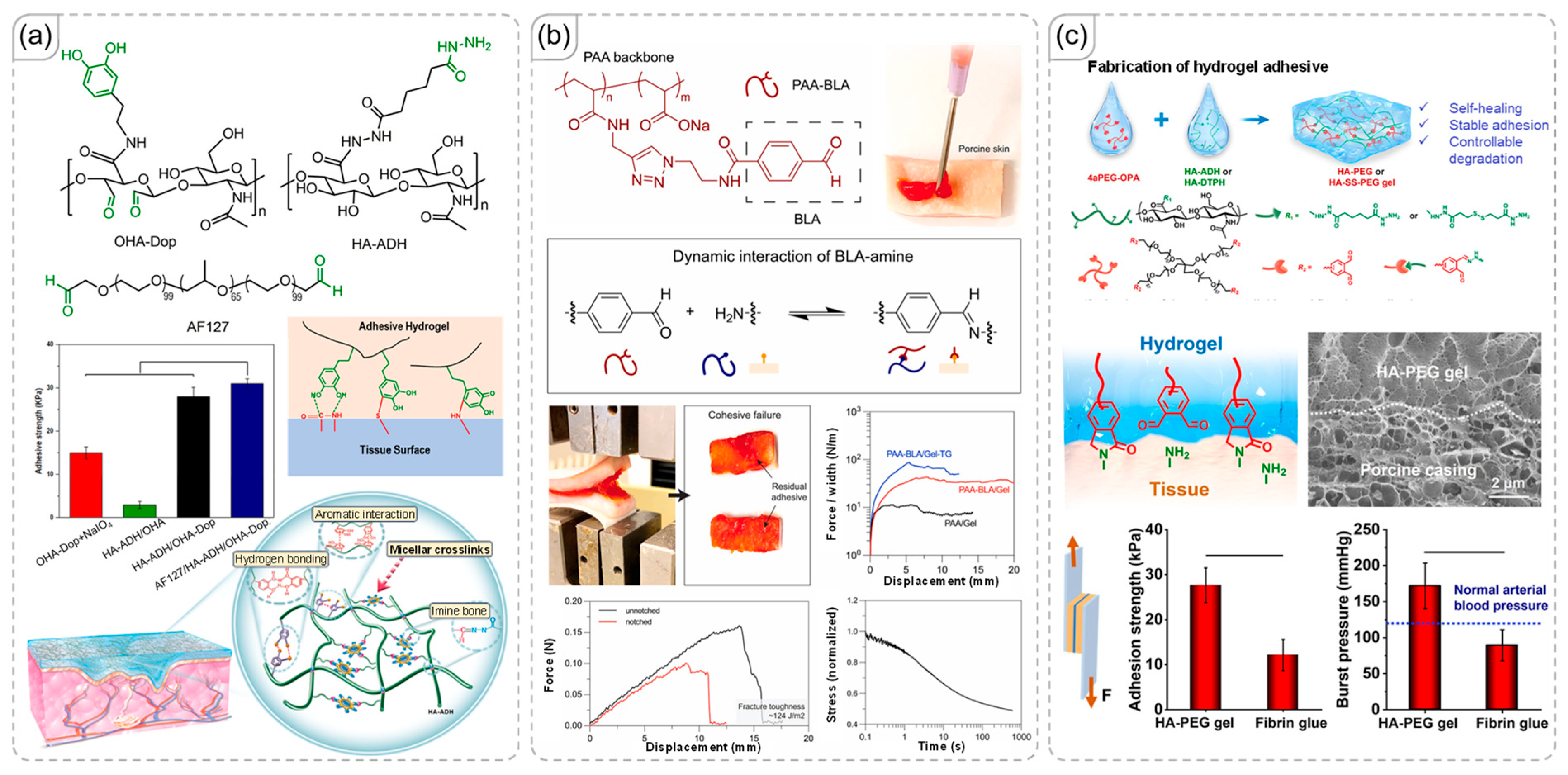Synergistic Effects of Combined Dynamic Covalent Bonds and Noncovalent ...