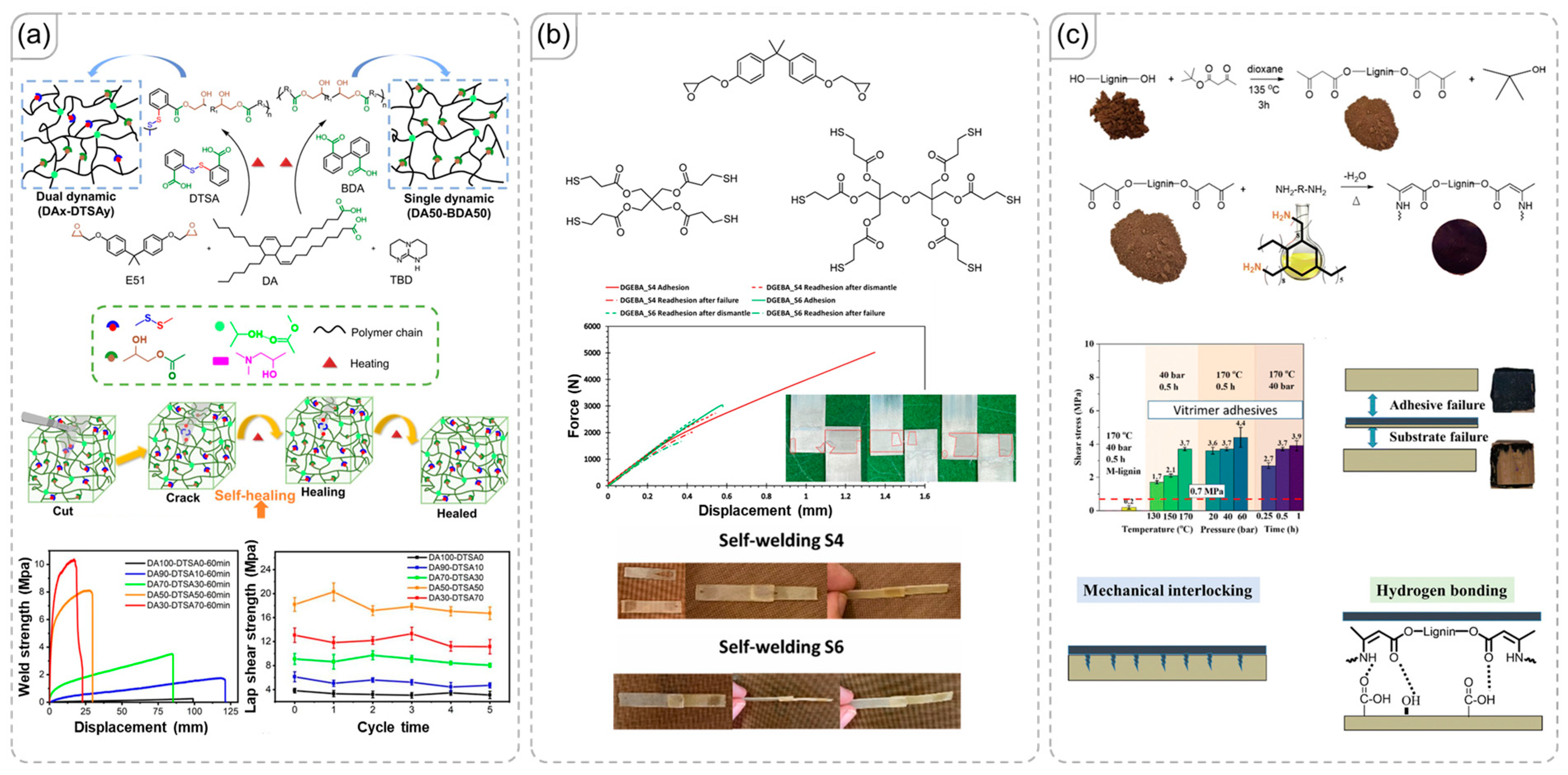 Synergistic Effects of Combined Dynamic Covalent Bonds and Noncovalent ...