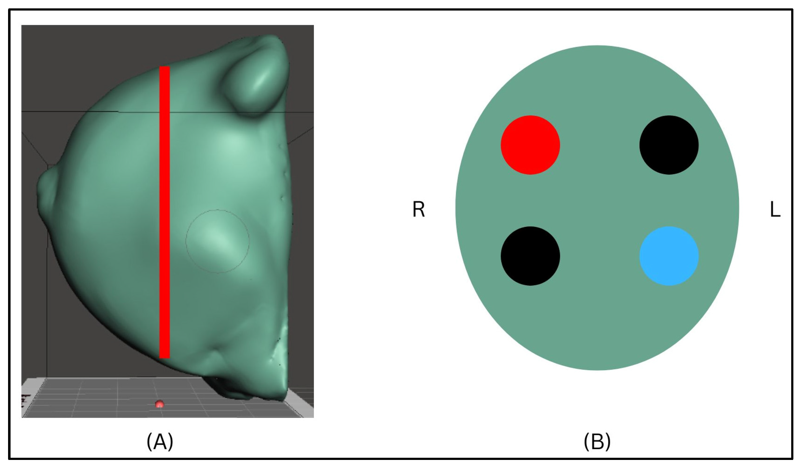 Unimorphic Pvc Design and Characterisation of a Polyvinyl Chloride (PVC) Tissue ...