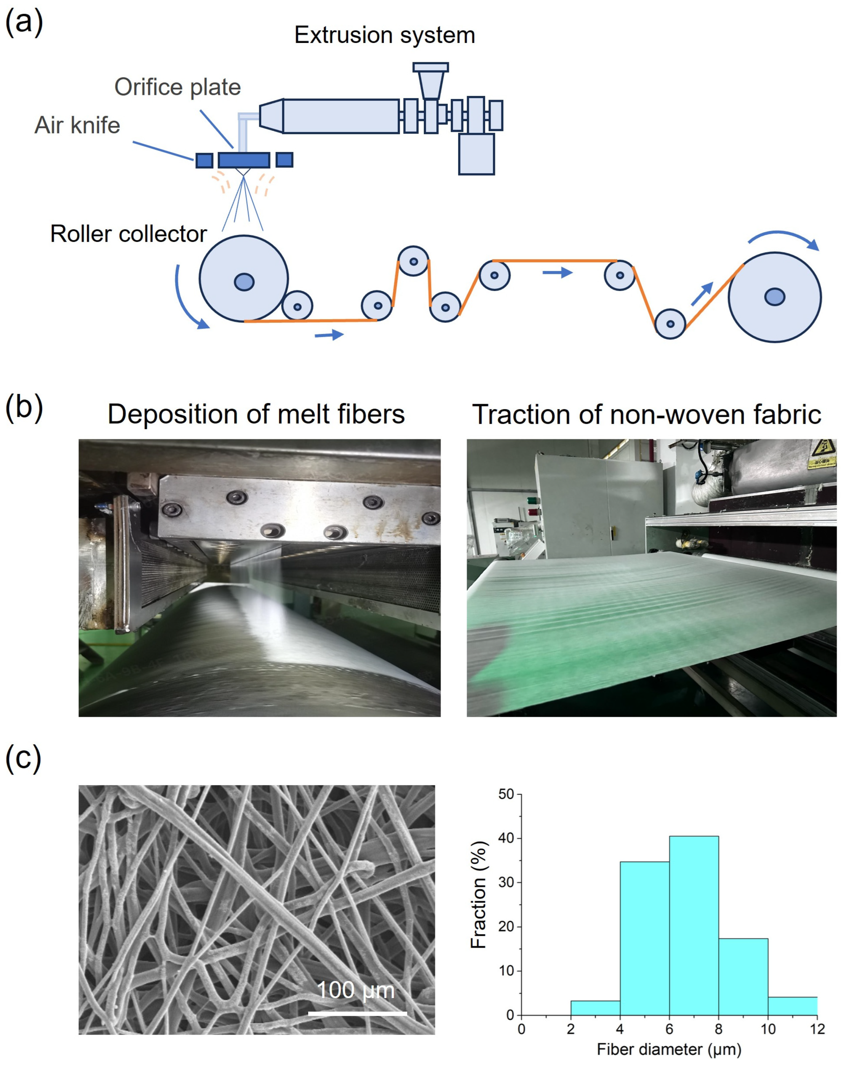 Influence of the Fibrous Network Architecture on the Mechanical ...