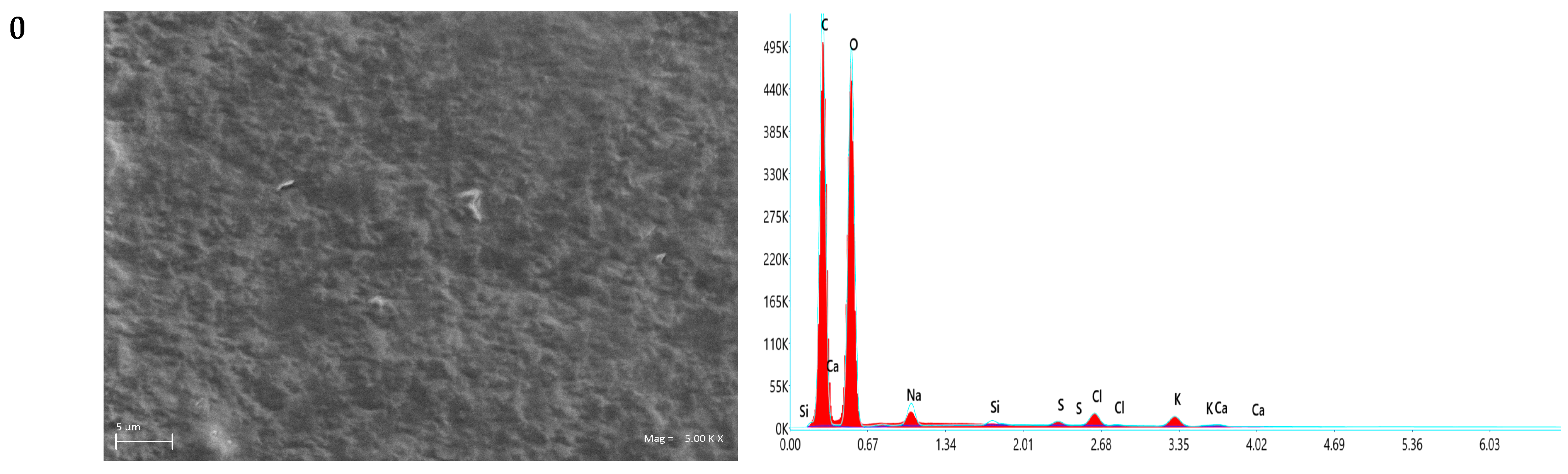 Development and Characterization of Active Pectin–Curdlan Biopolymer ...
