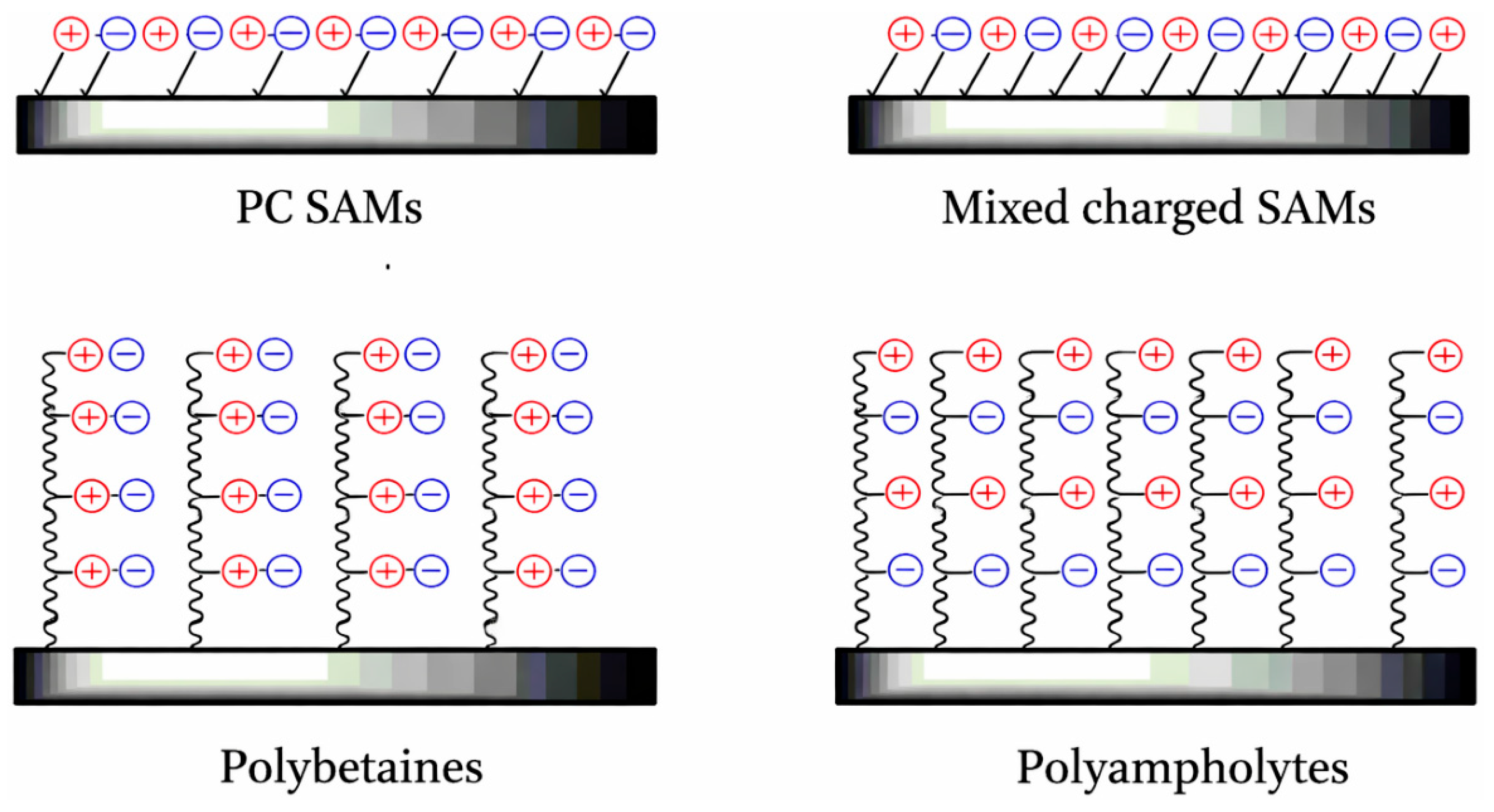 Matlab Polymers Advances in Polymer Film and Coating Technologies for Enhanced Surface ...