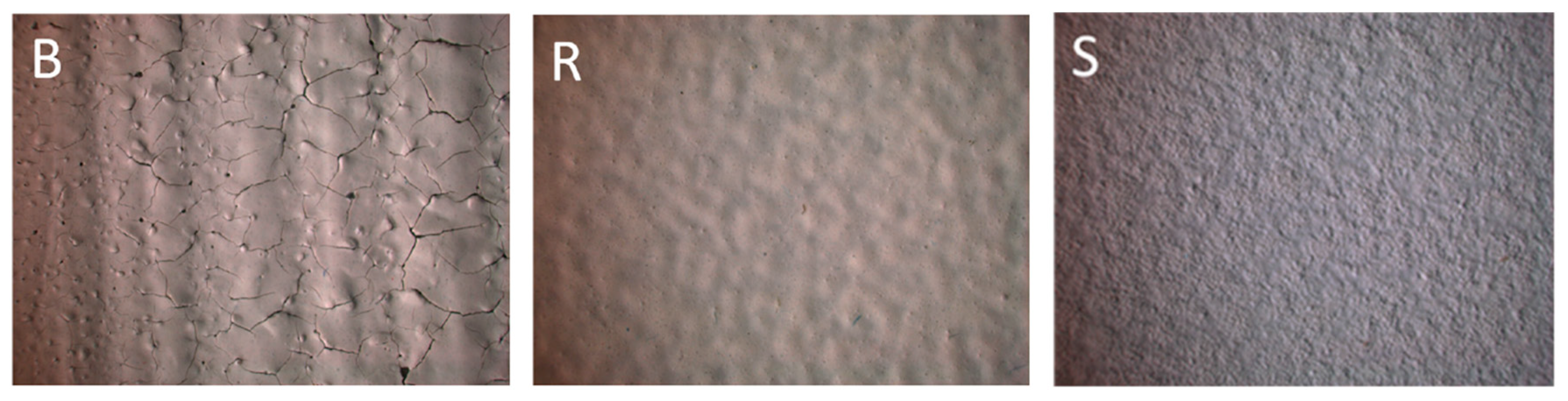 Advances in Polymer Film and Coating Technologies for Enhanced Surface ...