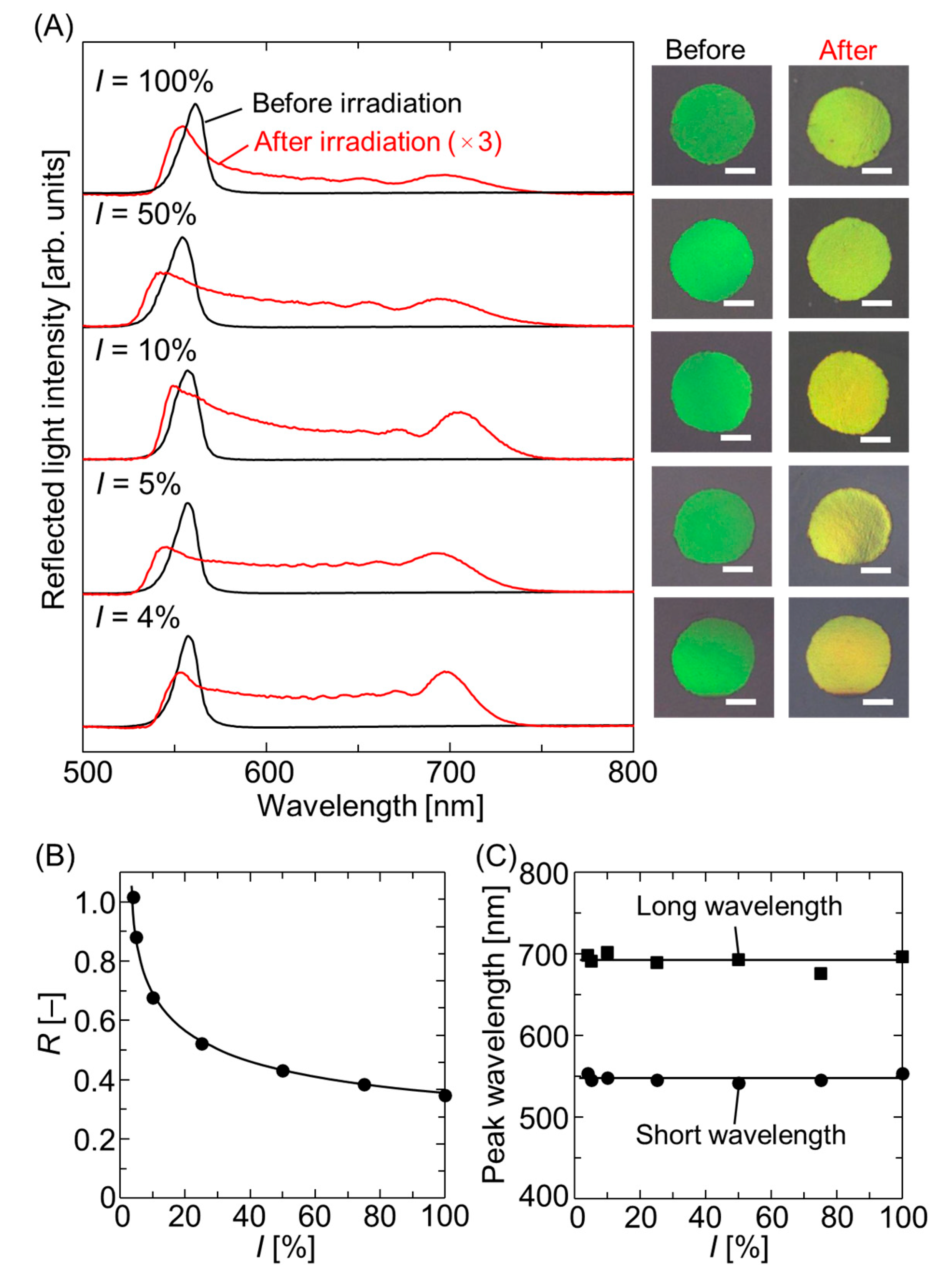 Expansion of Bragg Reflection Width and Tuning Wavelength in Elastomer ...