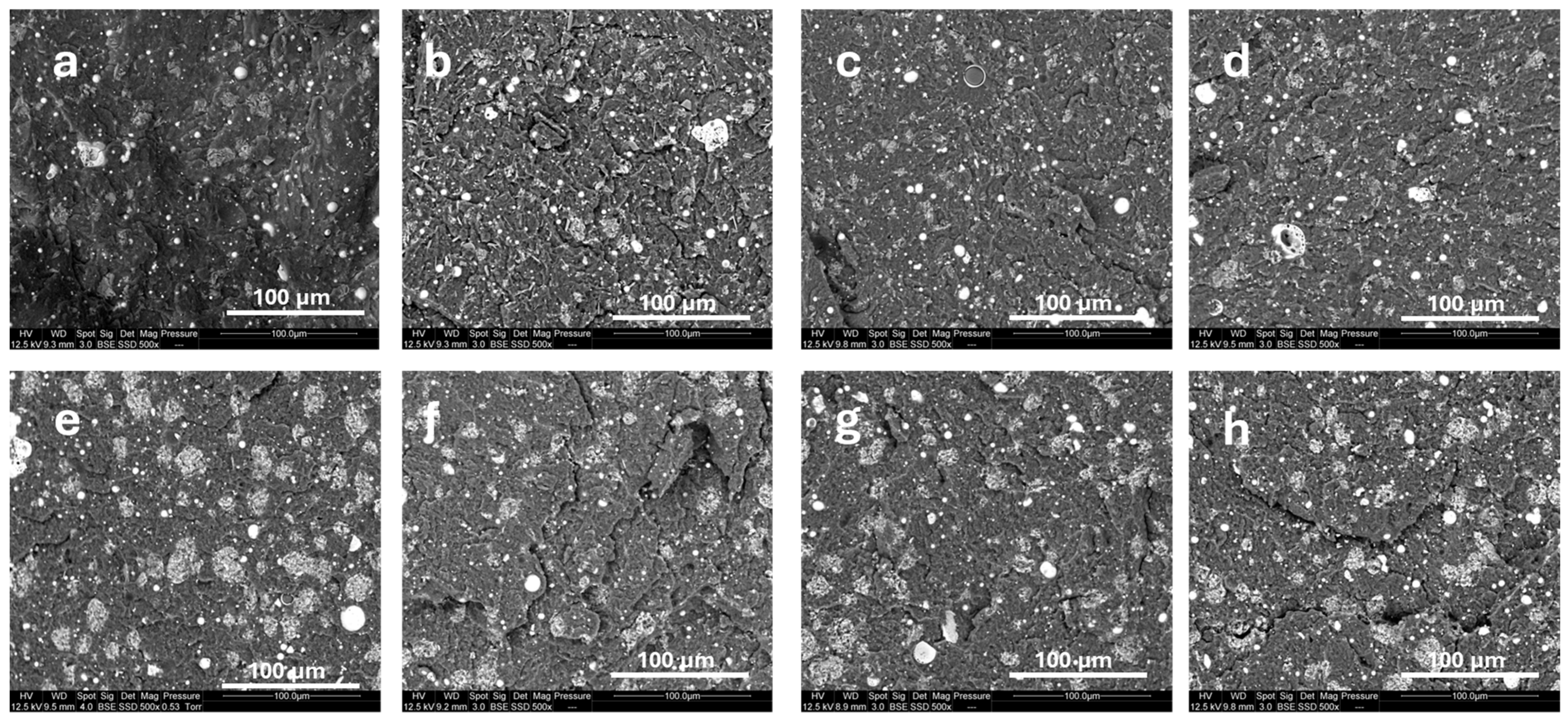 Influence of Surface Modification of Fly Ashes on the Fire Behavior of ...
