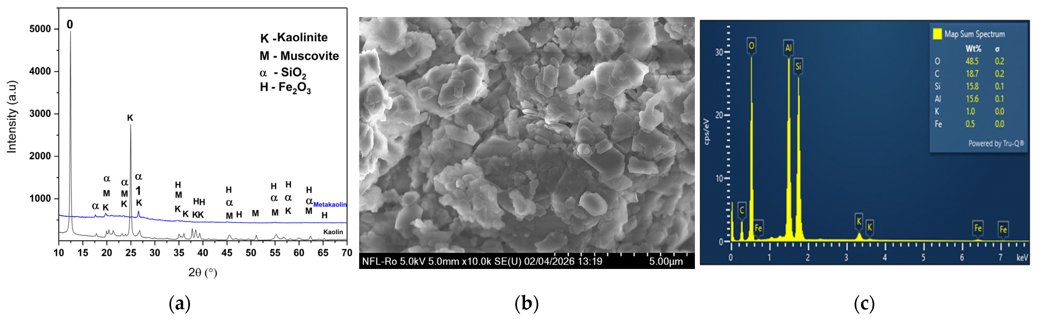 Influence of Functionalization on the Textural Properties and ...
