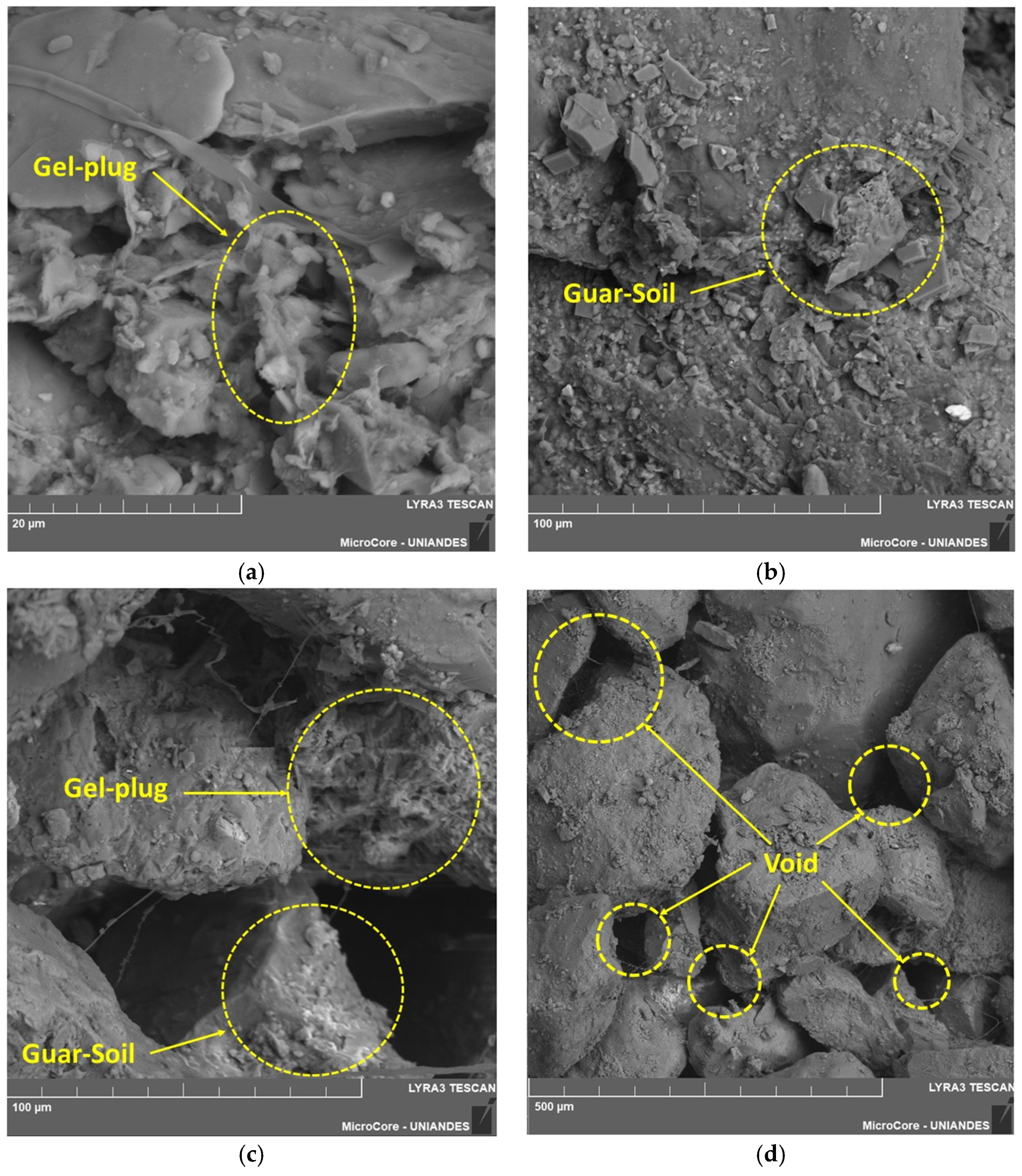Mechanical and Microstructural Comparison of Improved Sand with Guar ...