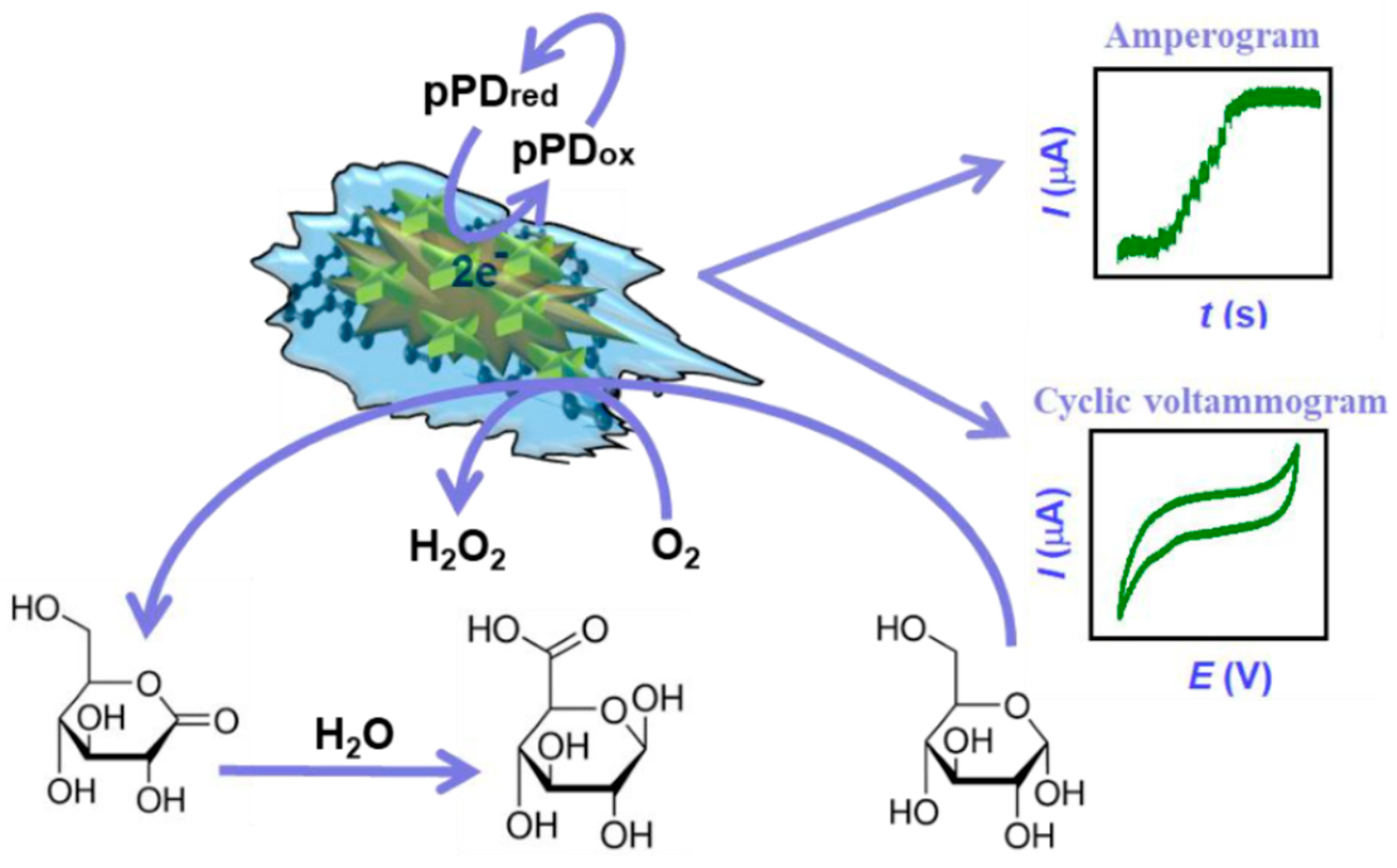 Novel Enzymatic Reagentless Glucose Biosensors Based on Noble Metal ...