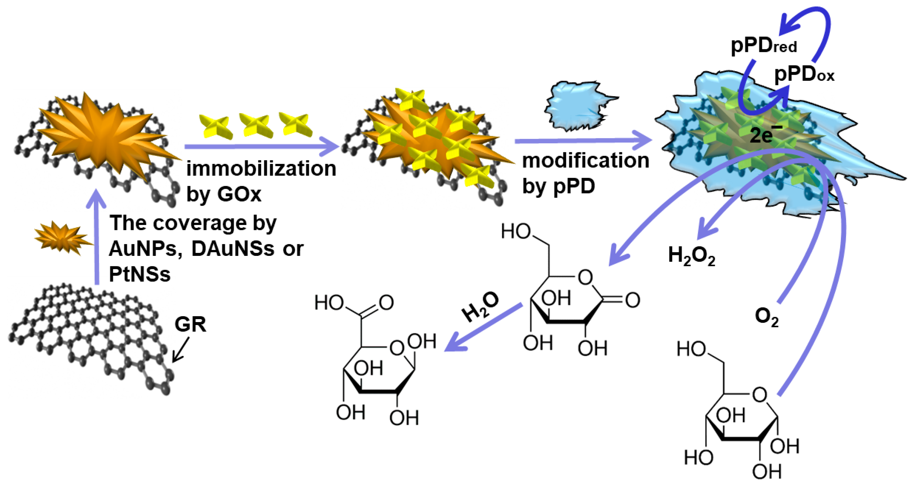 Novel Enzymatic Reagentless Glucose Biosensors Based on Noble Metal ...