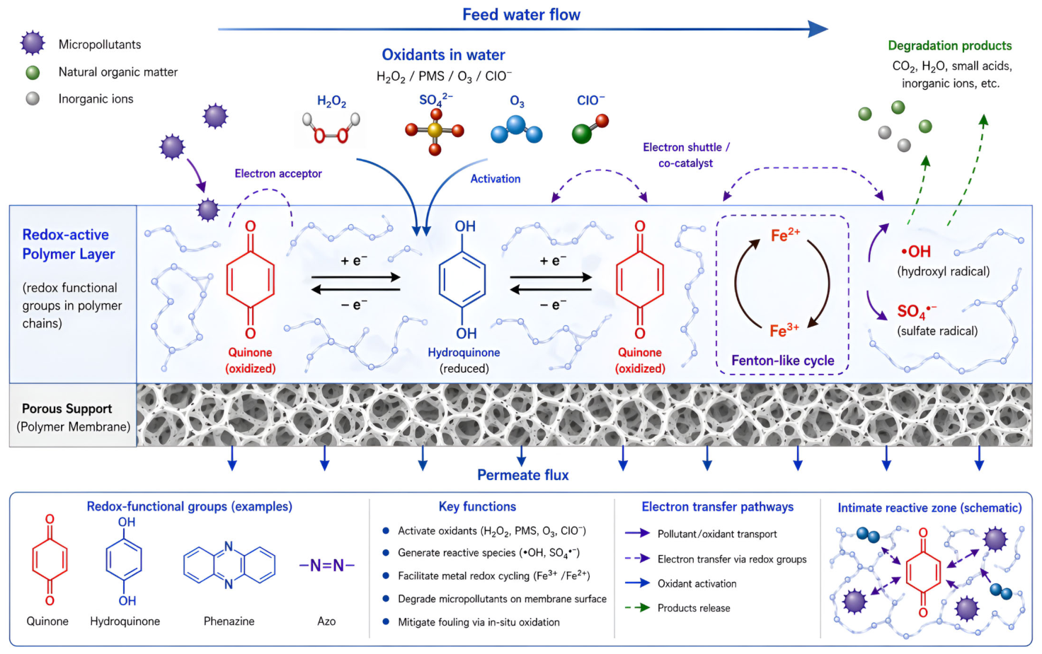 Reactive Polymeric Membranes for Advanced Water Treatment: Bridging ...