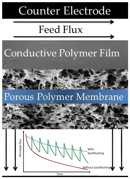 Reactive Polymeric Membranes for Advanced Water Treatment: Bridging ...