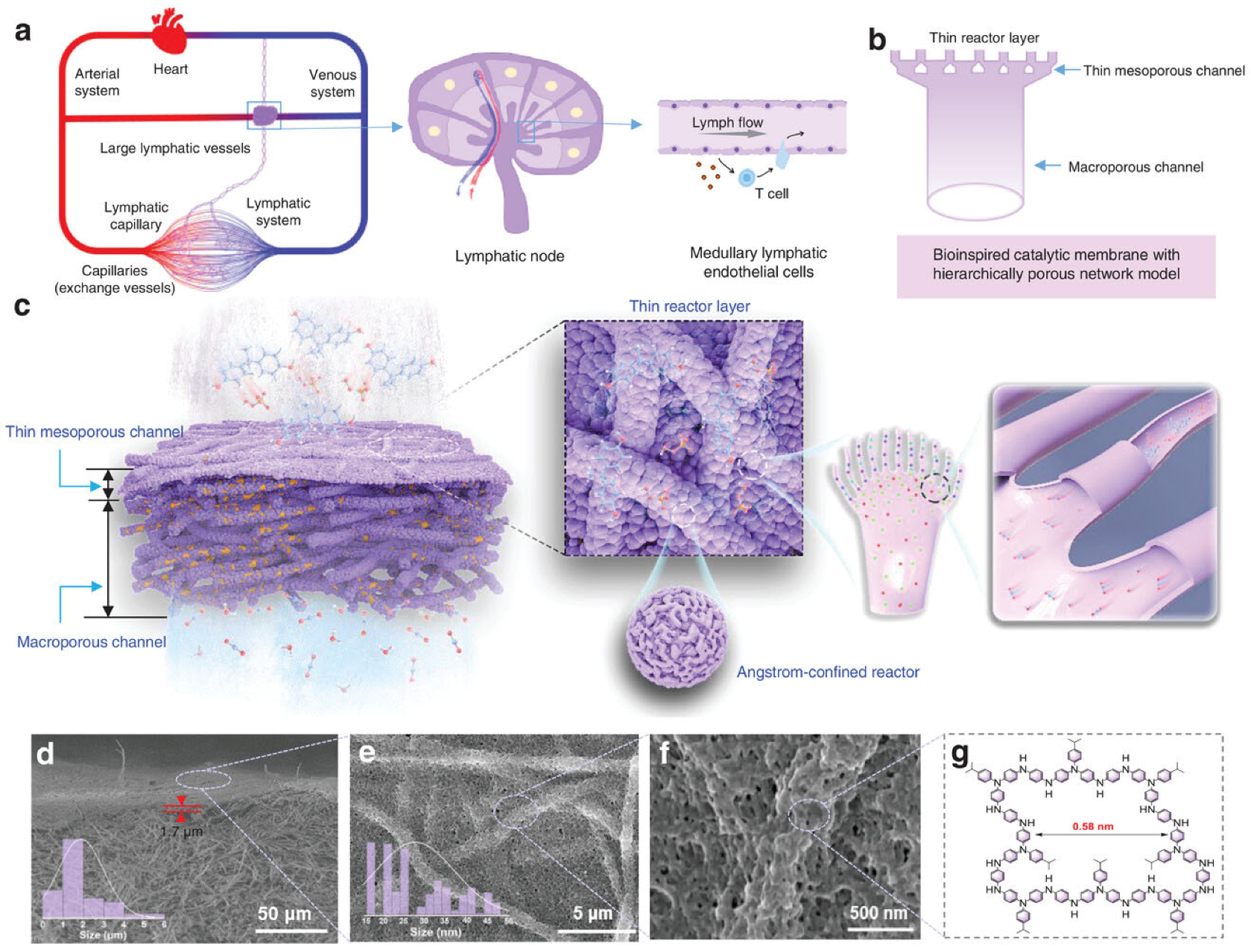 Reactive Polymeric Membranes for Advanced Water Treatment: Bridging ...