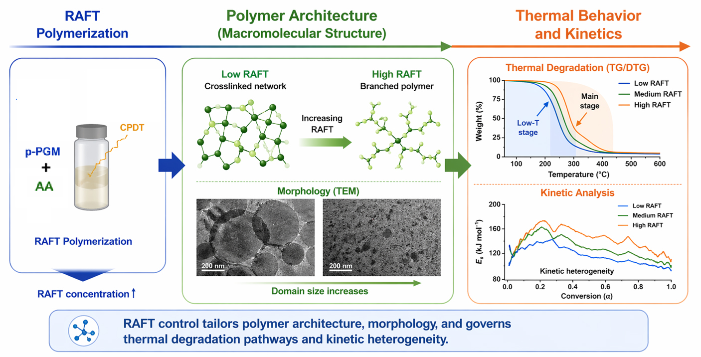 Architecture-Dependent Thermal Decomposition of RAFT-Modified ...