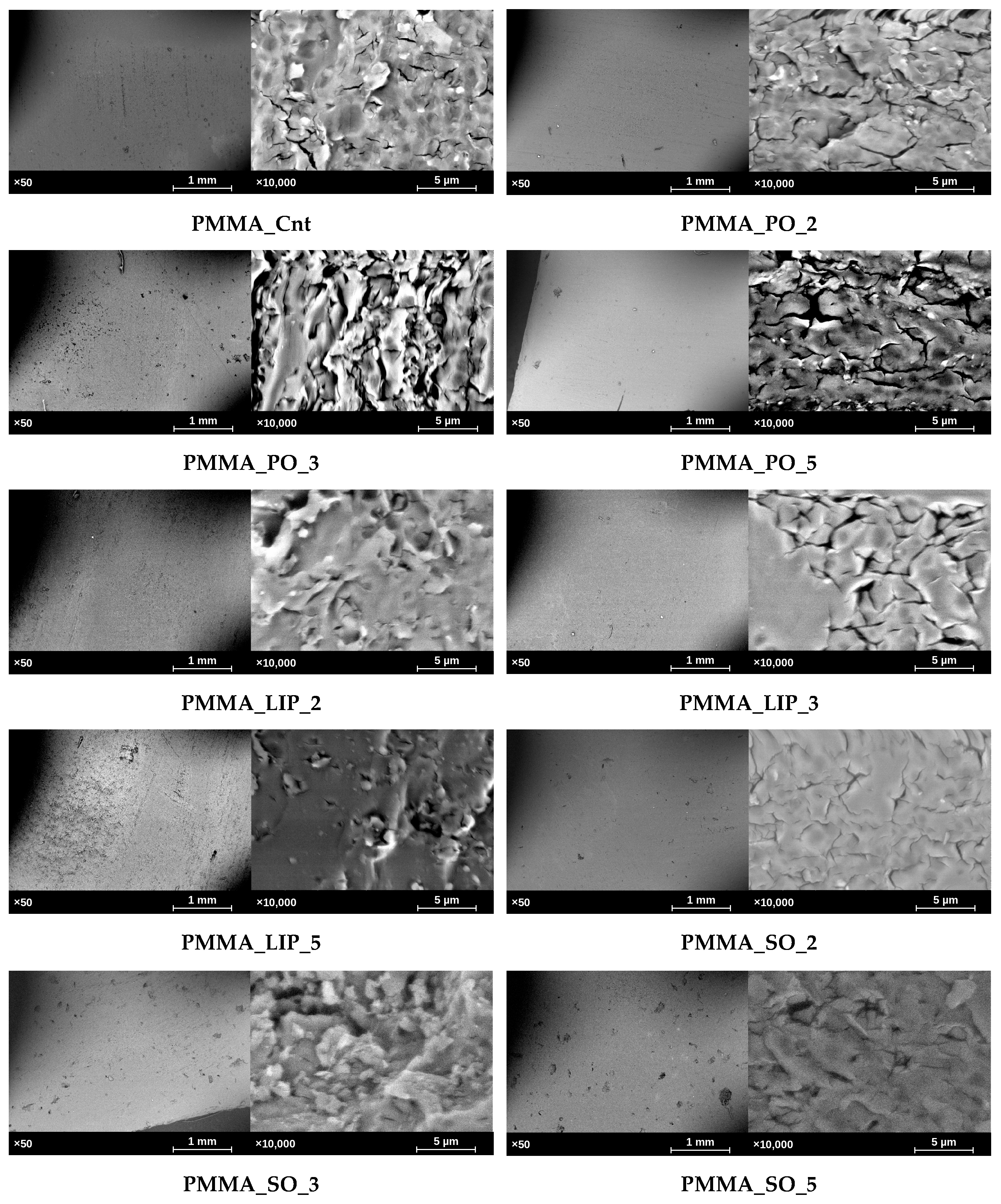 Effect of Sulfonate-, Phosphonate-, and Lipoate-Functional Modifiers on ...