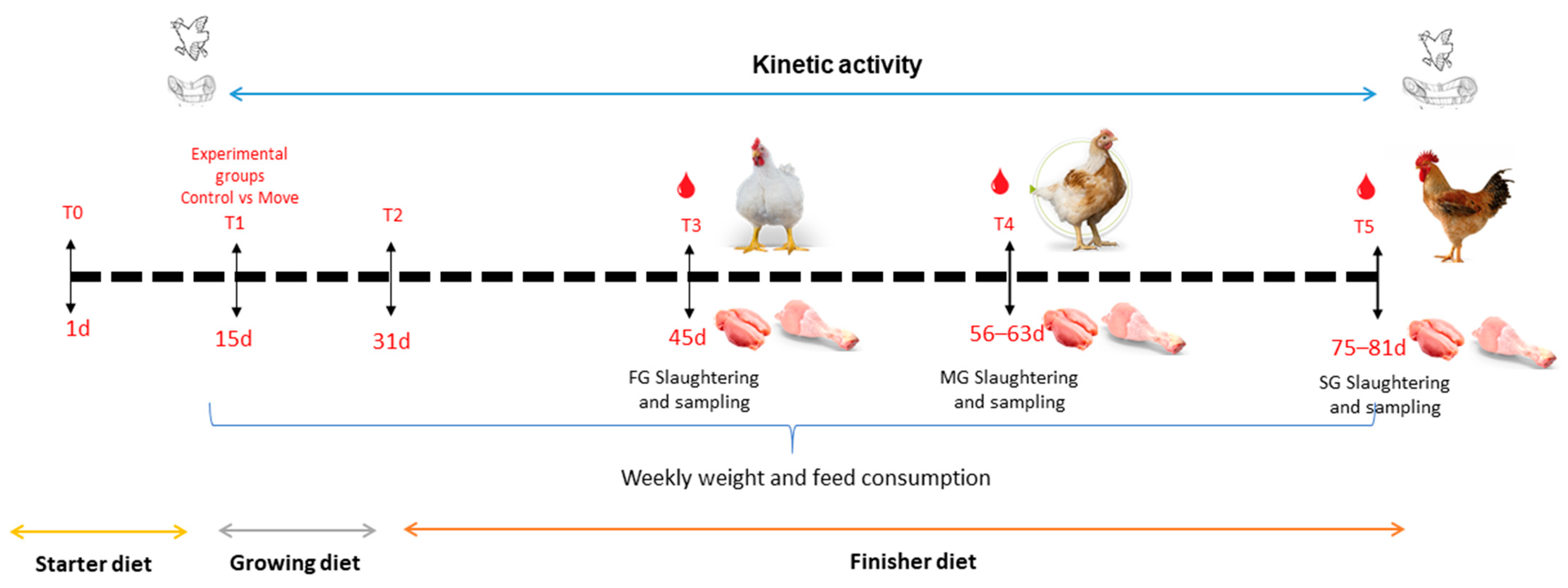 Meat Quality of Two ECC-Approved Chicken Genotypes with Different ...