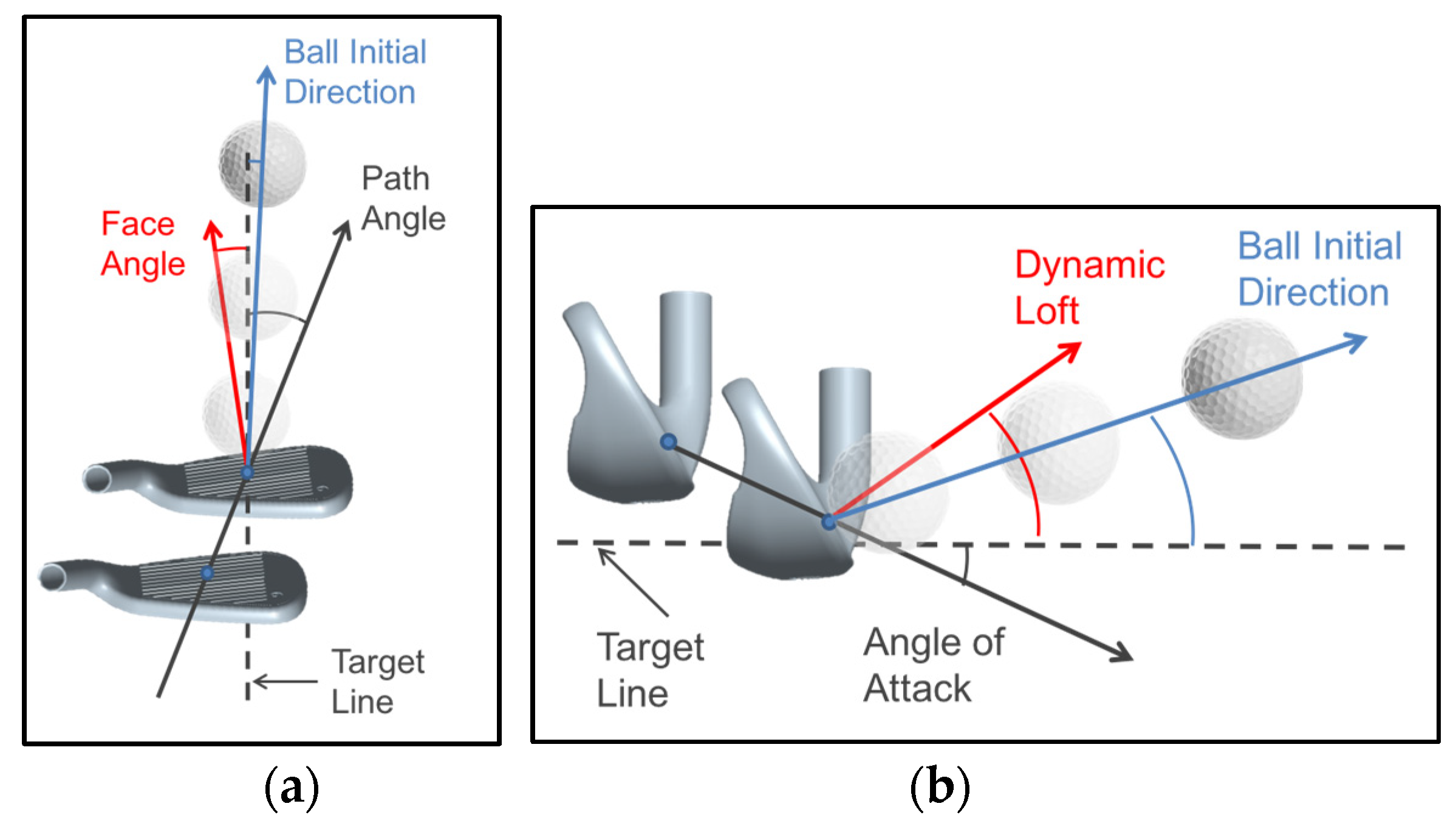 Proceedings | Free Full-Text | The Influence of Face Angle and Club Path on  the Resultant Launch Angle of a Golf Ball