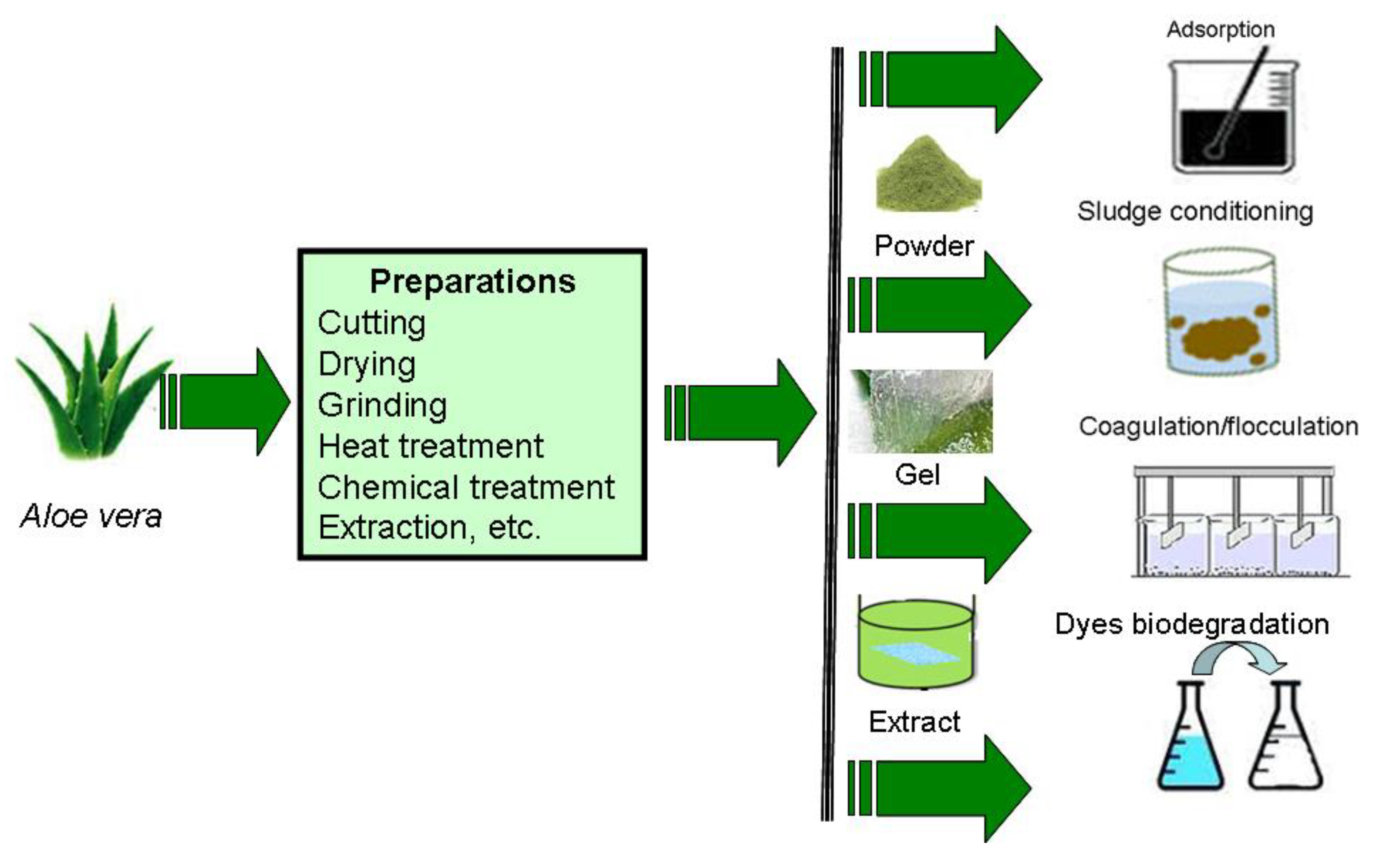 Processes | Free Full-Text | vera Promising Material for Water Treatment: A Review