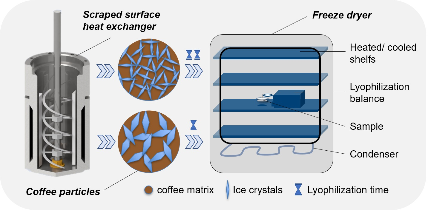 Freezing process influences cake appearance of a lyophilized
