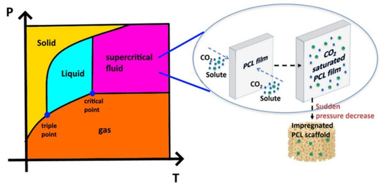 Supercritical Foaming and Impregnation of Polycaprolactone and ...
