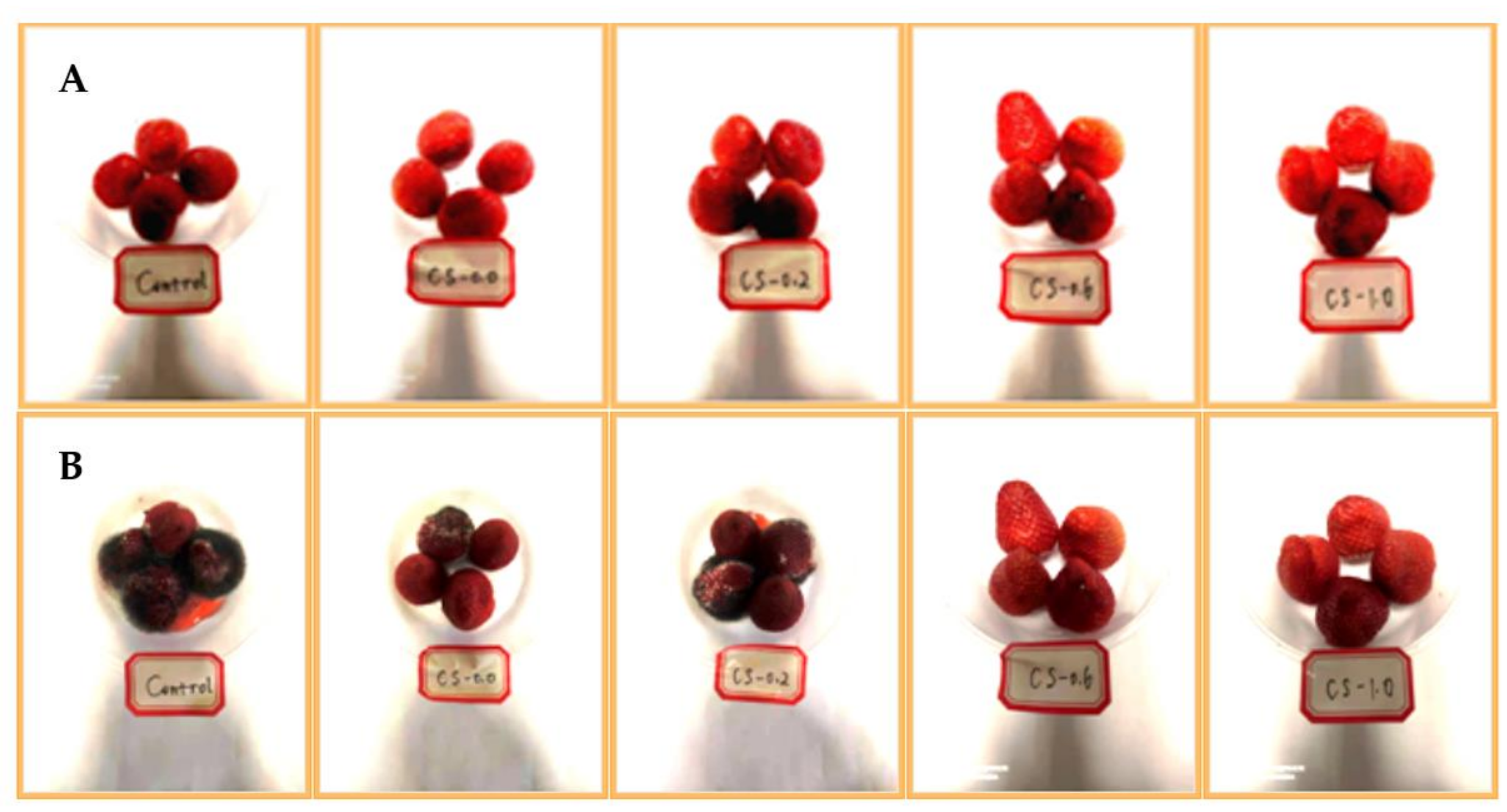 Strawberry Gel Beads Sensory Shapes - 12 Pc.