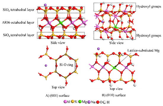 Understanding Cd2+ Adsorption Mechanism on Montmorillonite Surfaces by ...