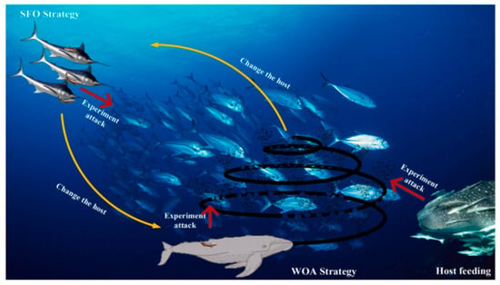 Processes | Free Full-Text | Improved Remora Optimization Algorithm ...