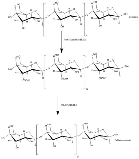 Preparation of a cellulose acetate membrane using cigarette butt recycling  and investigation of its efficiency in removing heavy metals from aqueous  solution