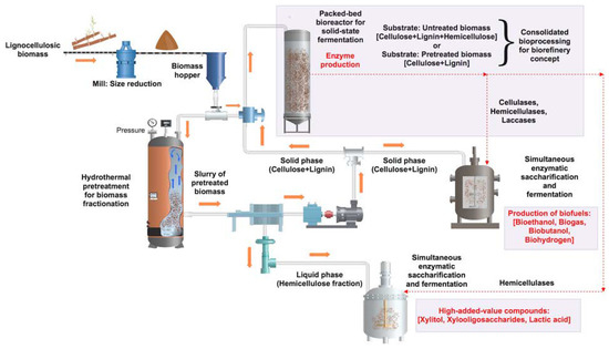 Bioreactor- Definition, Design, Principle, Parts, Types, Applications,  Limitations