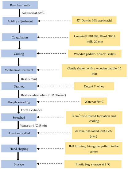 Textural, Rheological, and Sensory Modifications in Oaxaca Cheese Made ...