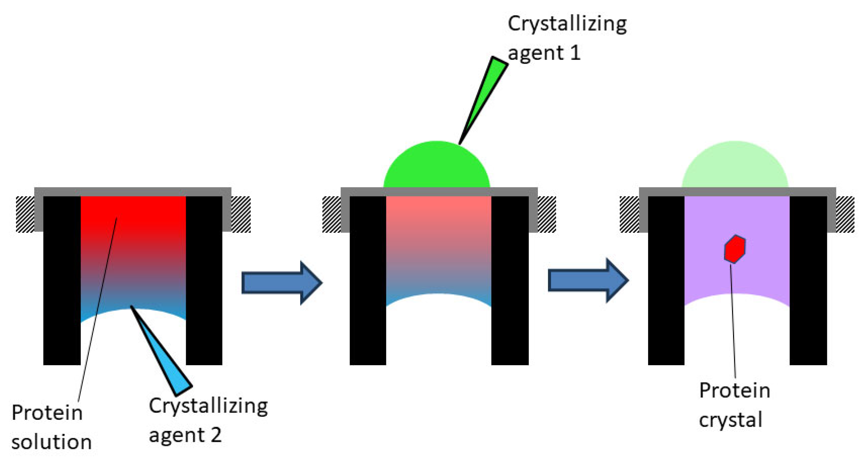 protein crystallization process