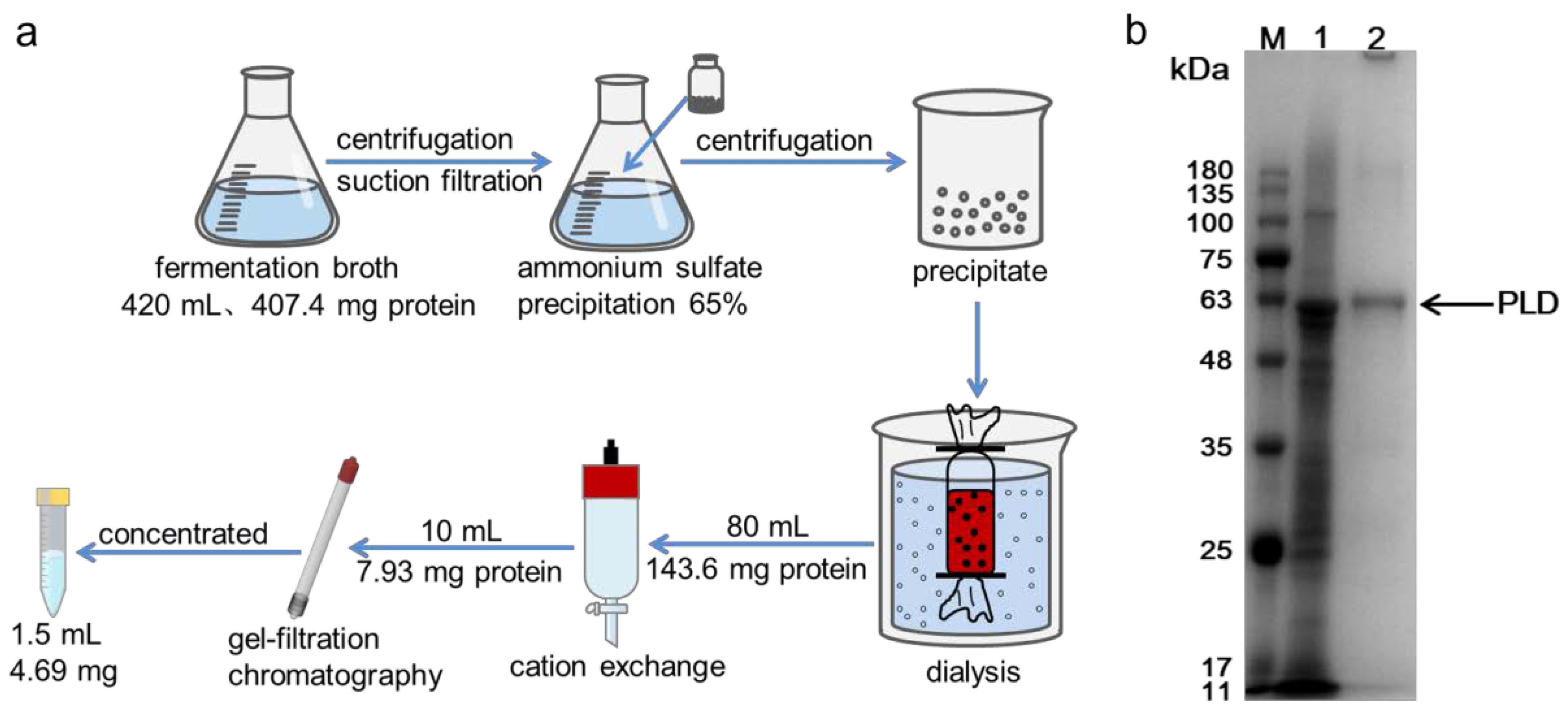 Processes | Free Full-Text | Efficient Biosynthesis Of ...