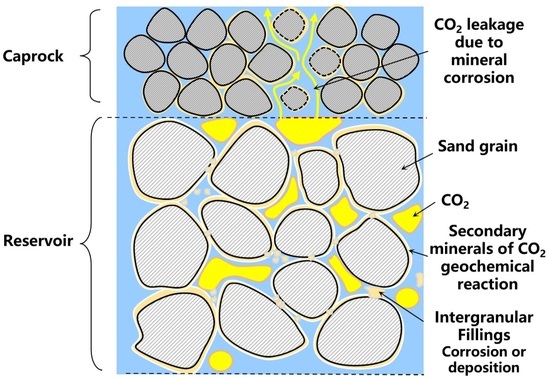 Processes | Free Full-Text | Experimental Study on CO2 Geochemical 