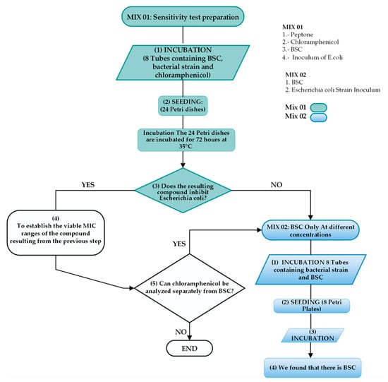 Processes | Free Full-Text | Synthesis, Characterization, and ...