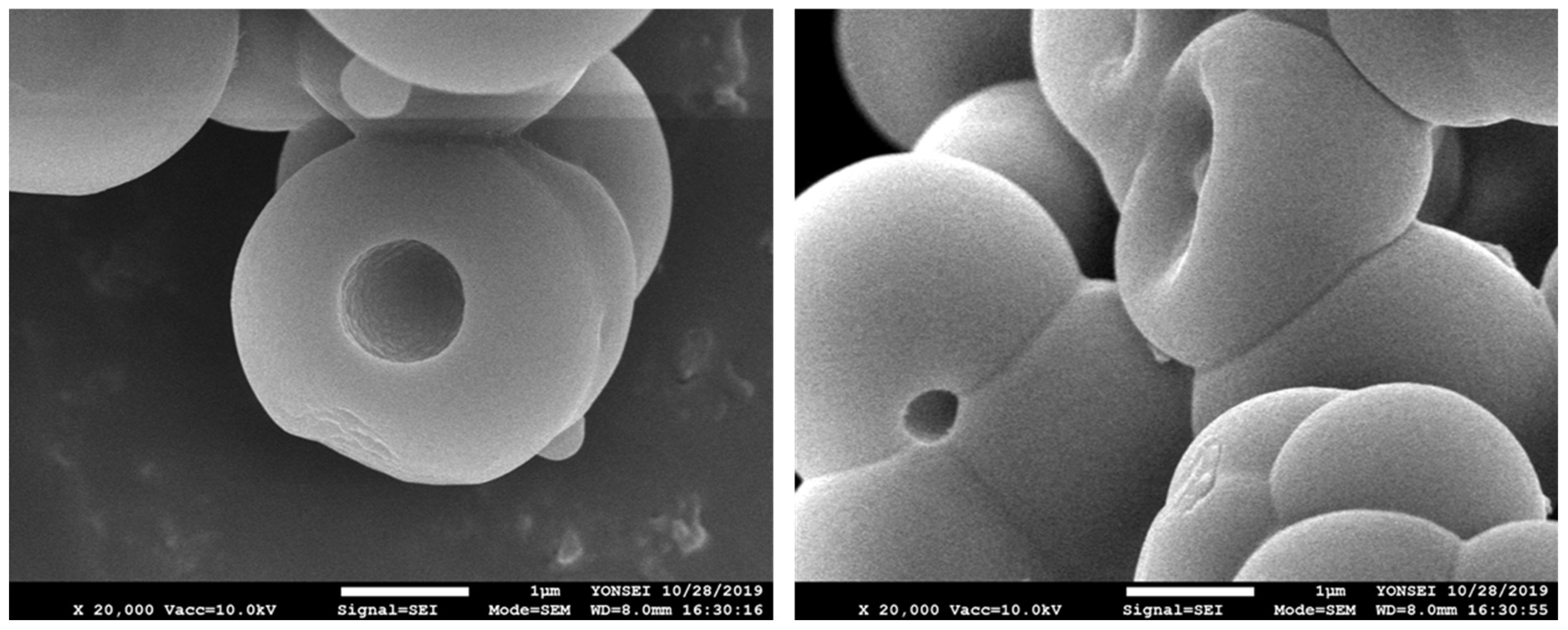 Urea Shell Preparation and Characterization of Flame-Retardant Microcapsules with ...
