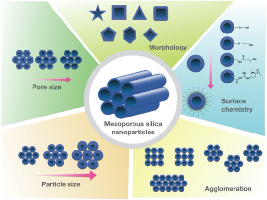 Applications of Mesoporous Silica Nanoparticles in Oil & Gas and ...
