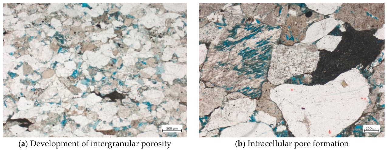 Characteristics and Genetic Mechanisms of Low-Permeability and Low ...