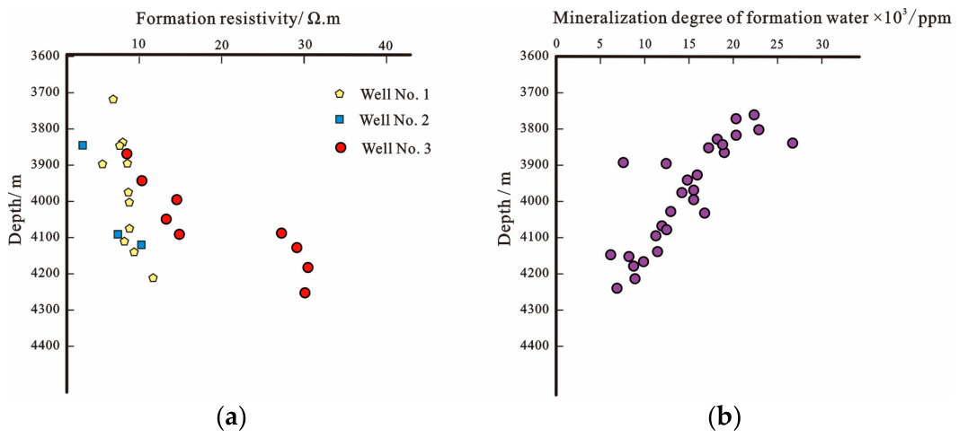 Characteristics and Genetic Mechanisms of Low-Permeability and Low ...